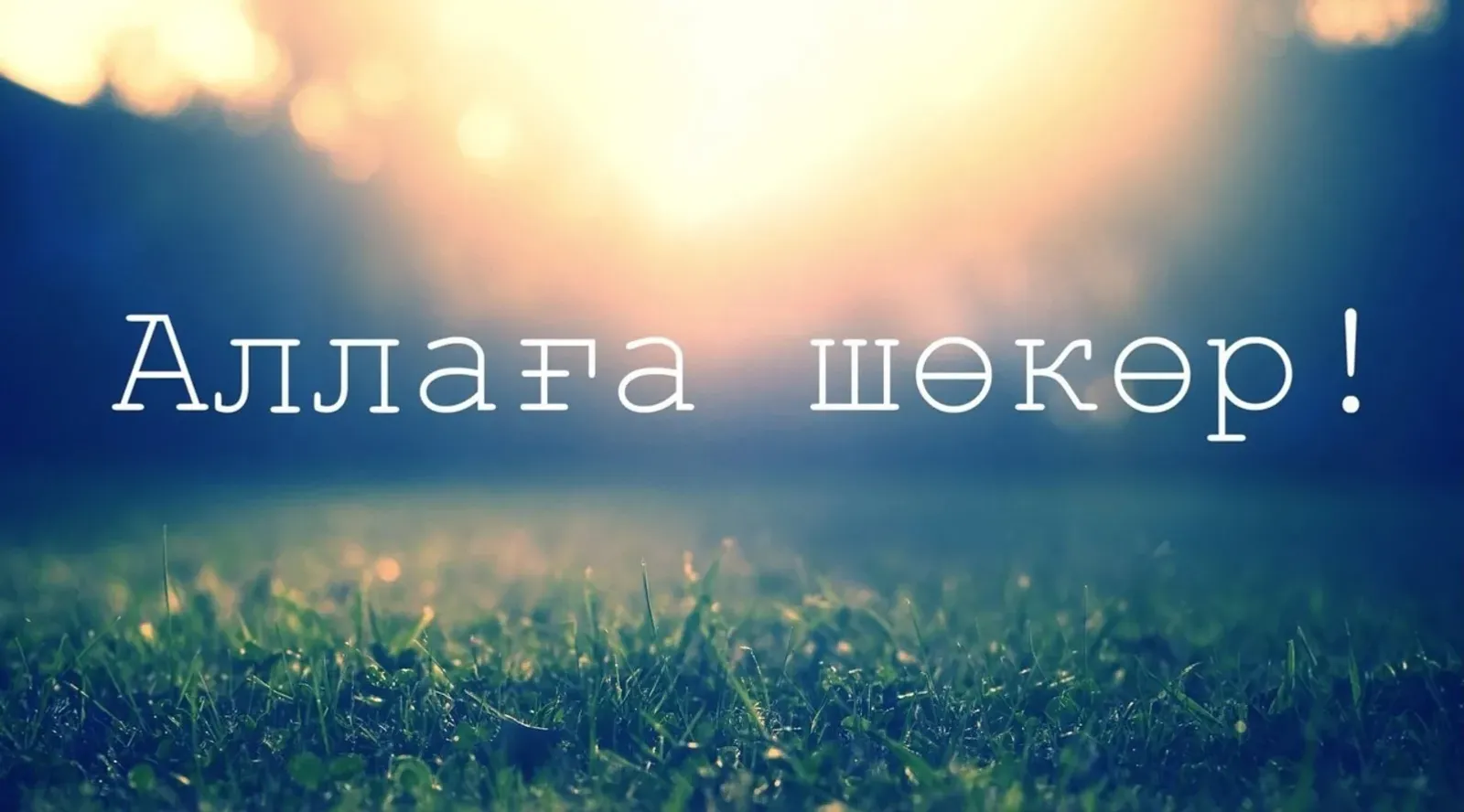 Борсолһағыҙ, бойоҡһағыҙ ошо доғаны уҡығыҙ