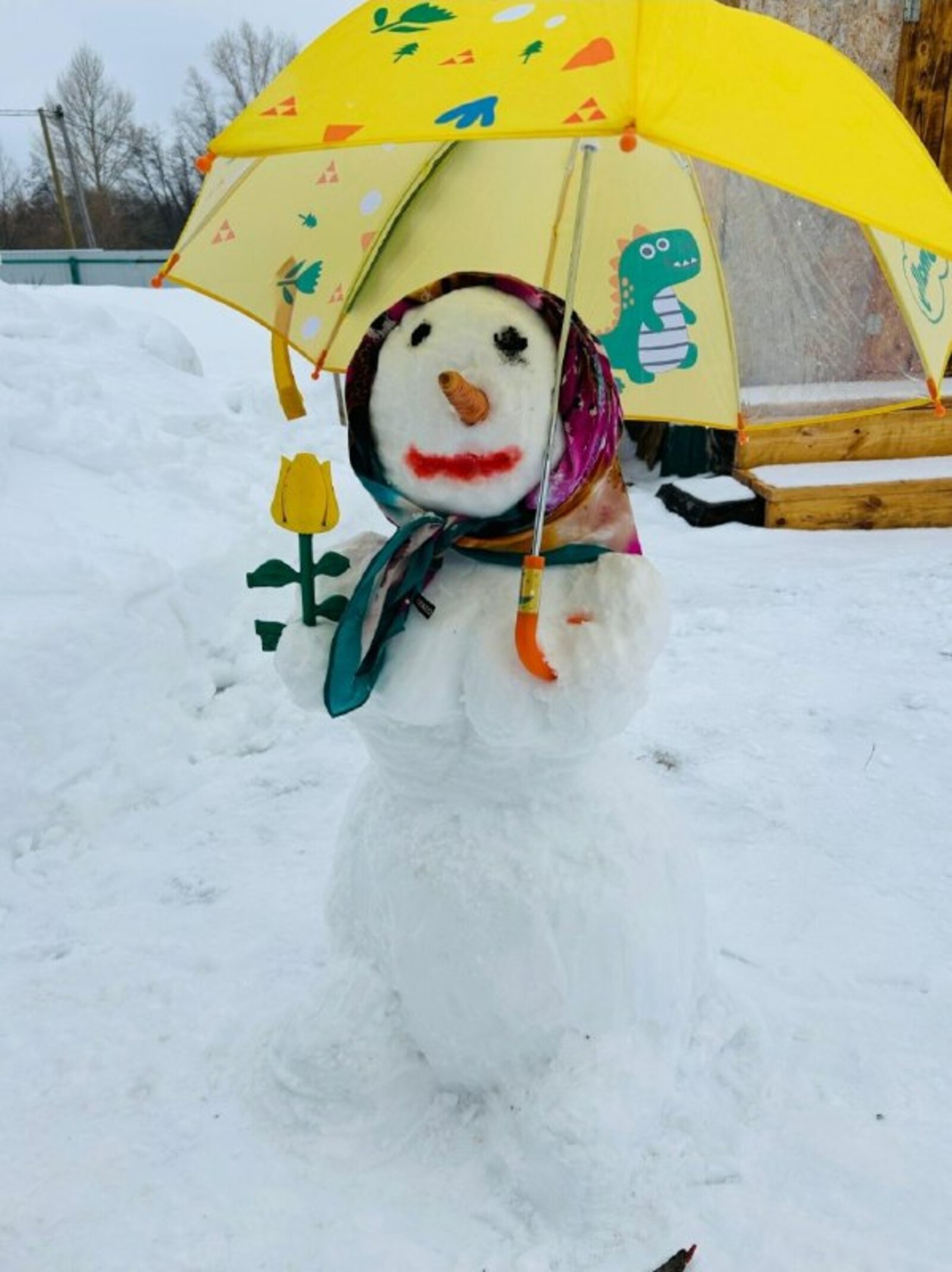 -30 градуслыҡ һалҡын көтөлә...