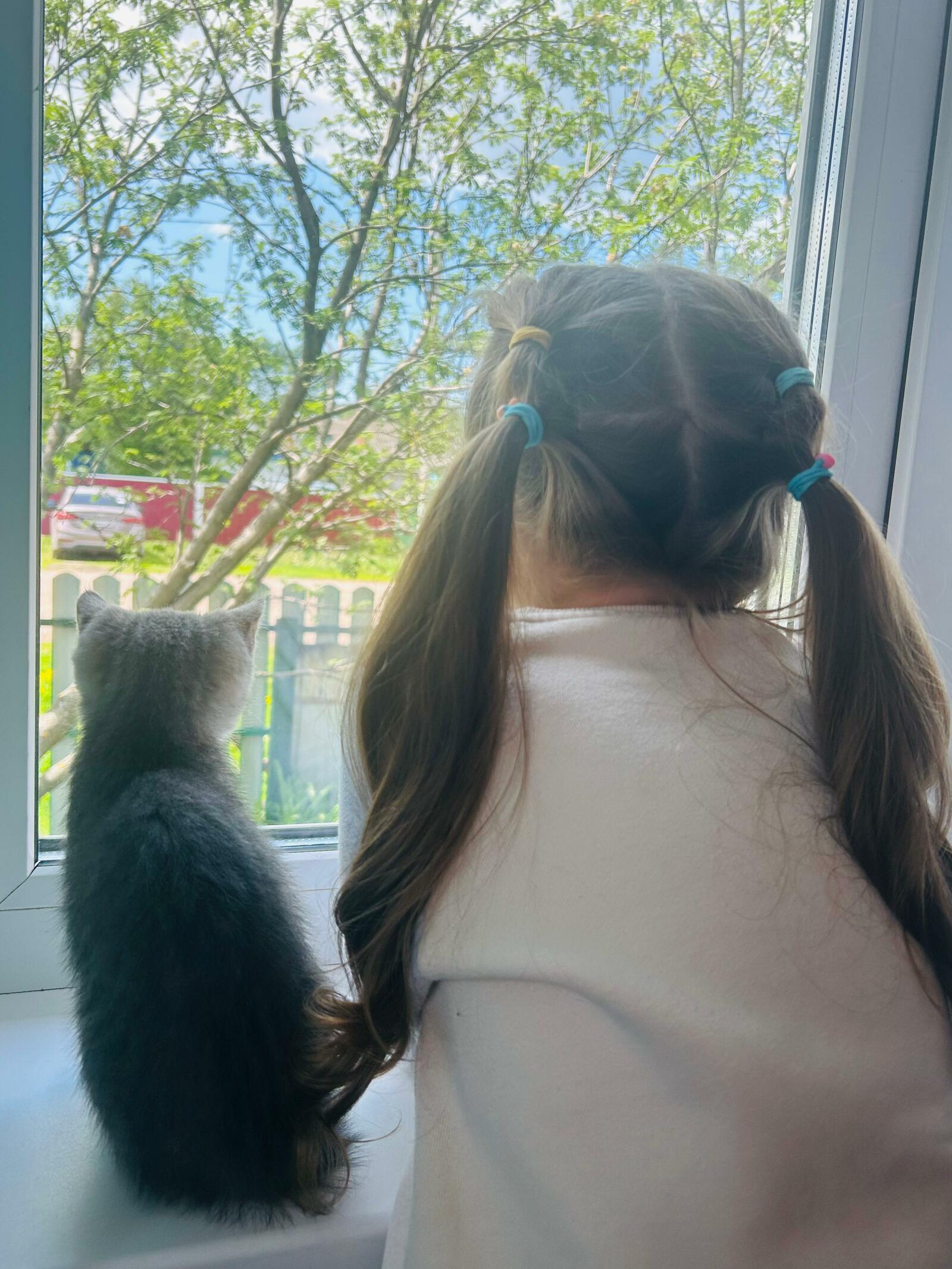 Әсәй үлгәс...