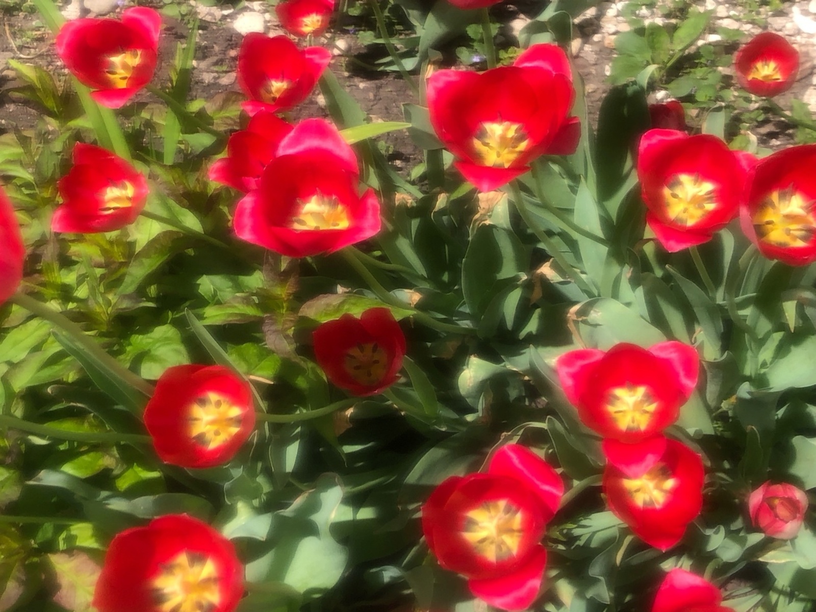 Был улым яҡты донъяға килергә тейеш түгел ине...