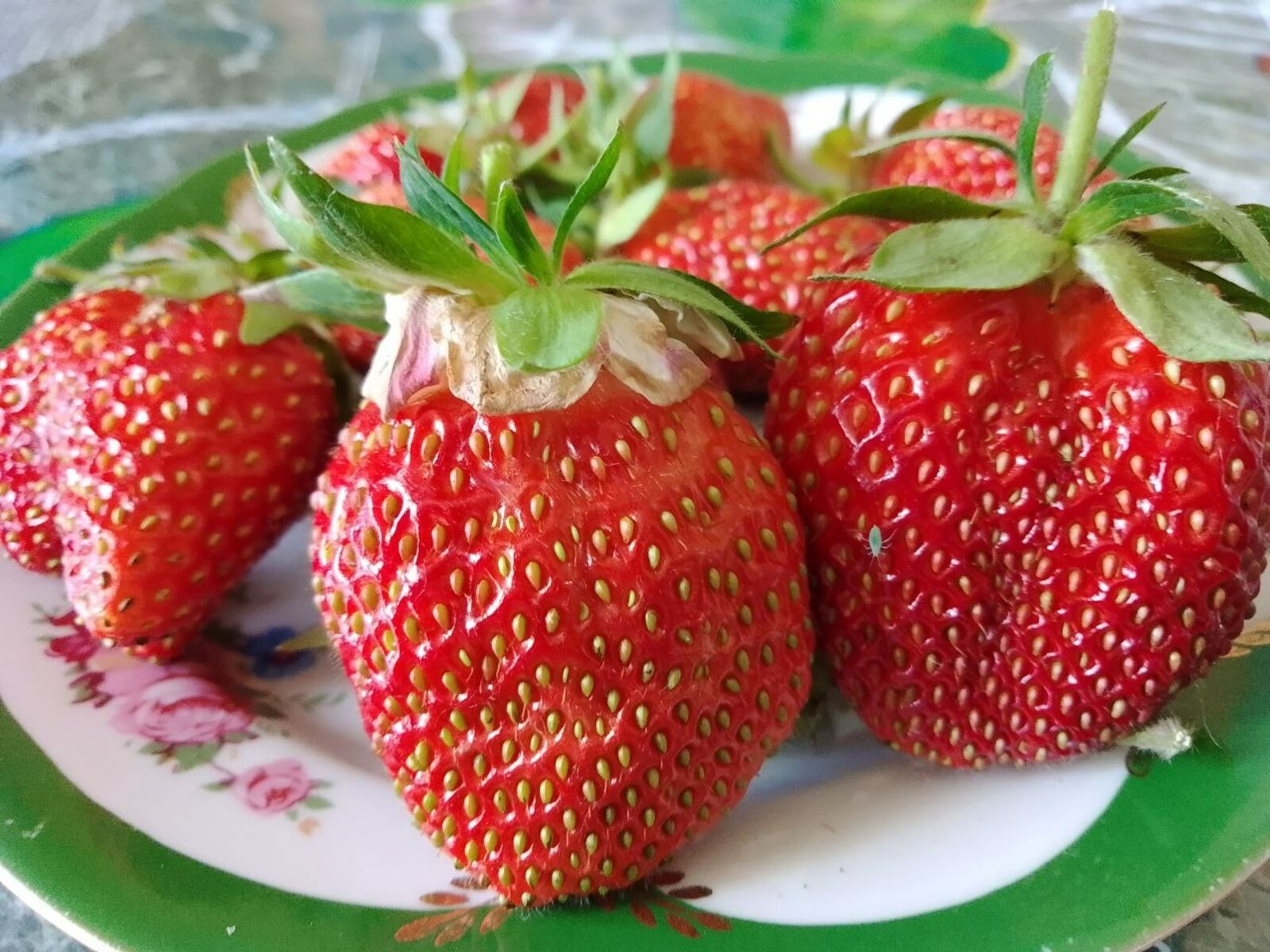 Баҡса еләге эре булһын өсөн