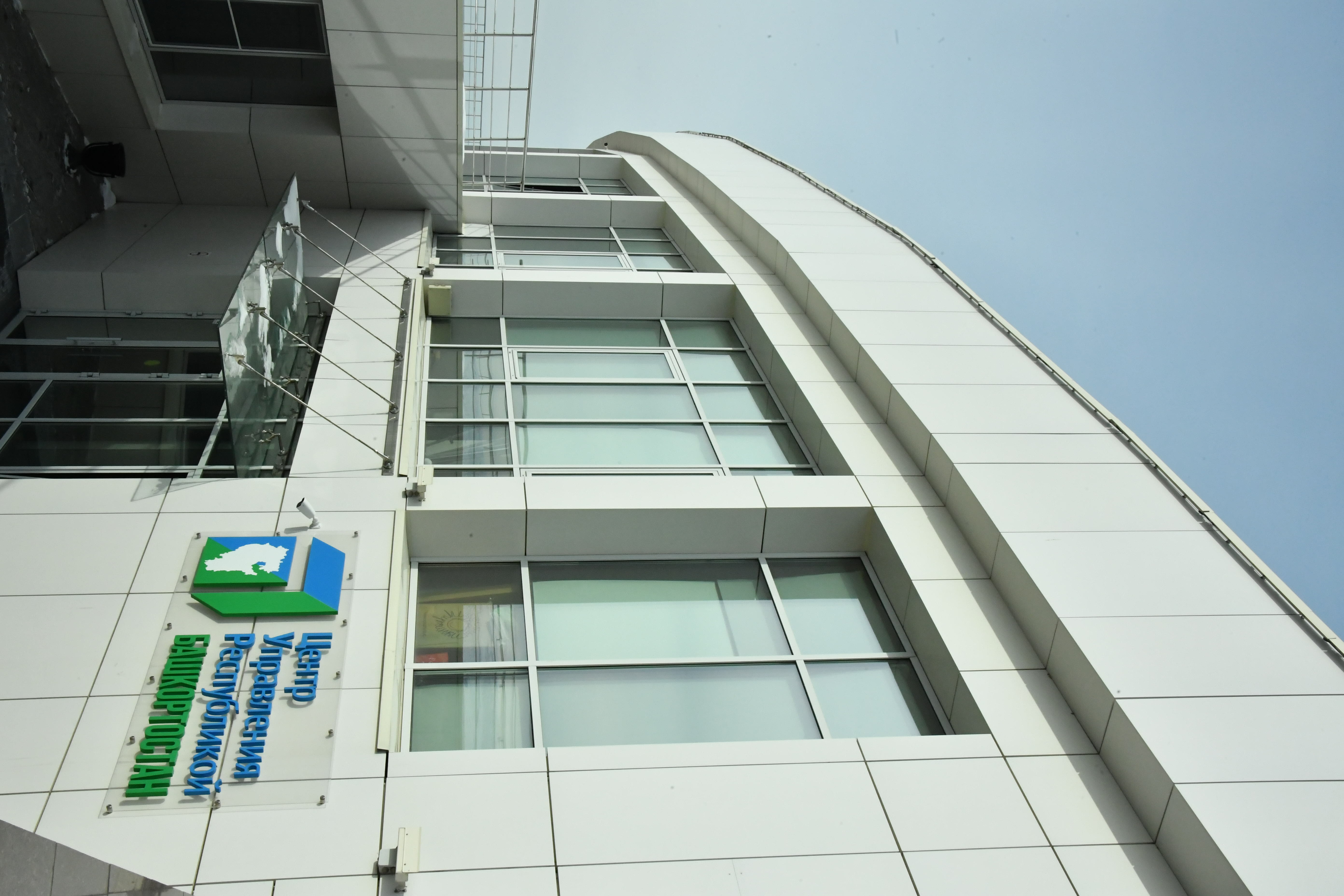 Тамырҙаш. Рухташ. Партнер