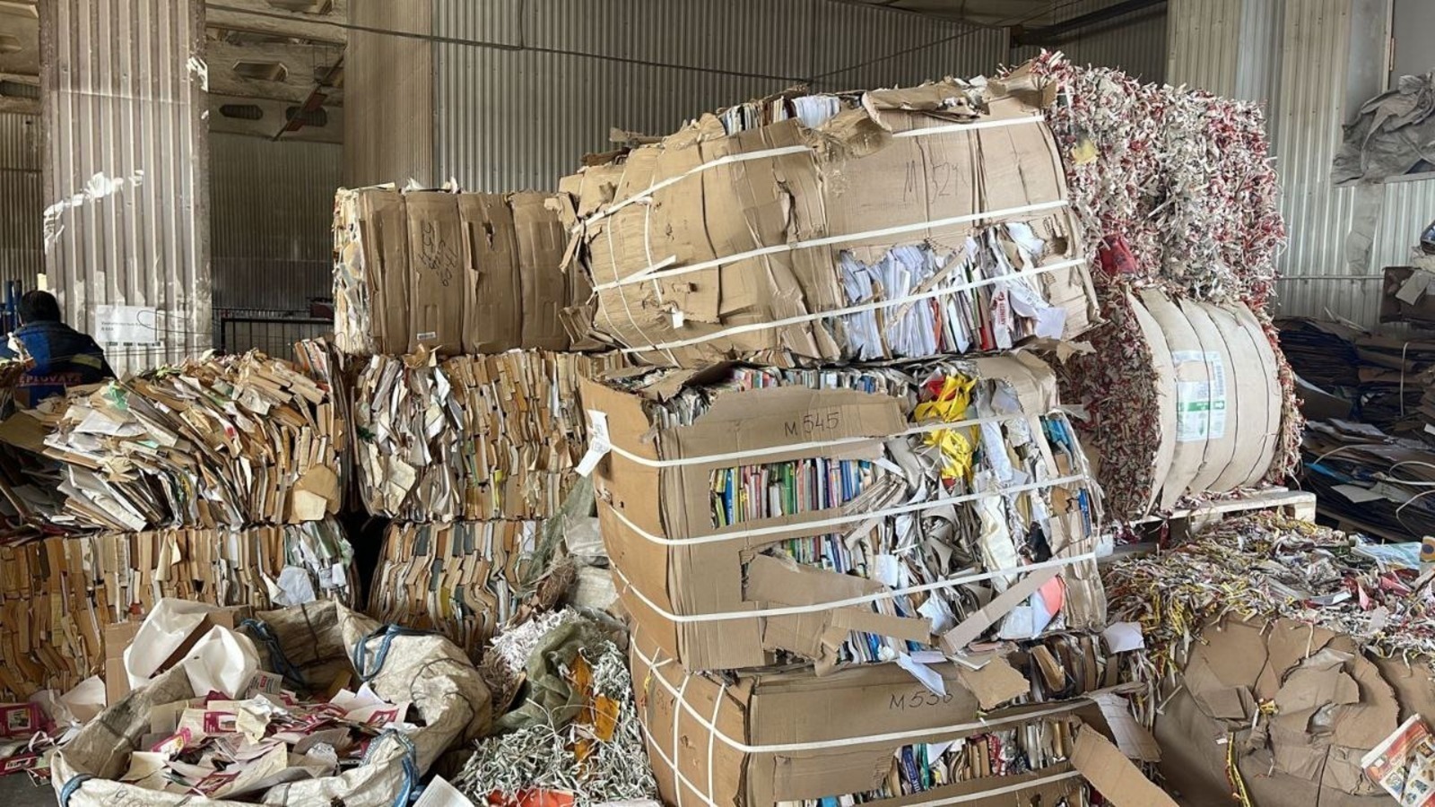 “Бумбатл” акцияһы йәшеллекте һаҡлай