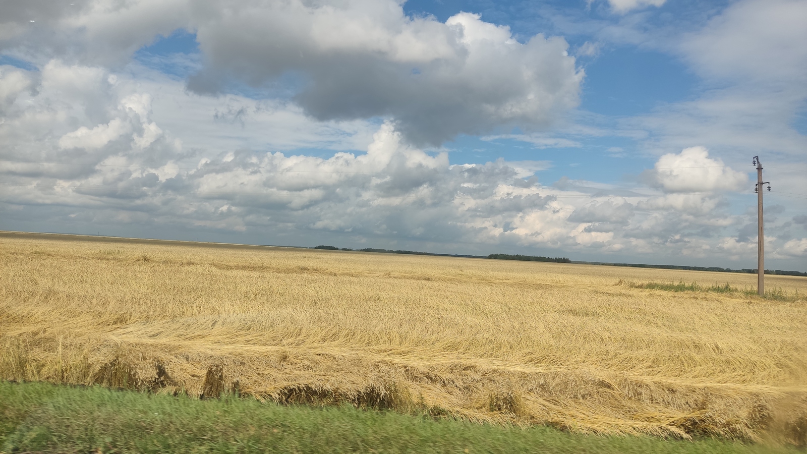 Башҡортостан башҡа төбәктәргә иген һатыуҙы 1,6 тапҡырға арттырҙы