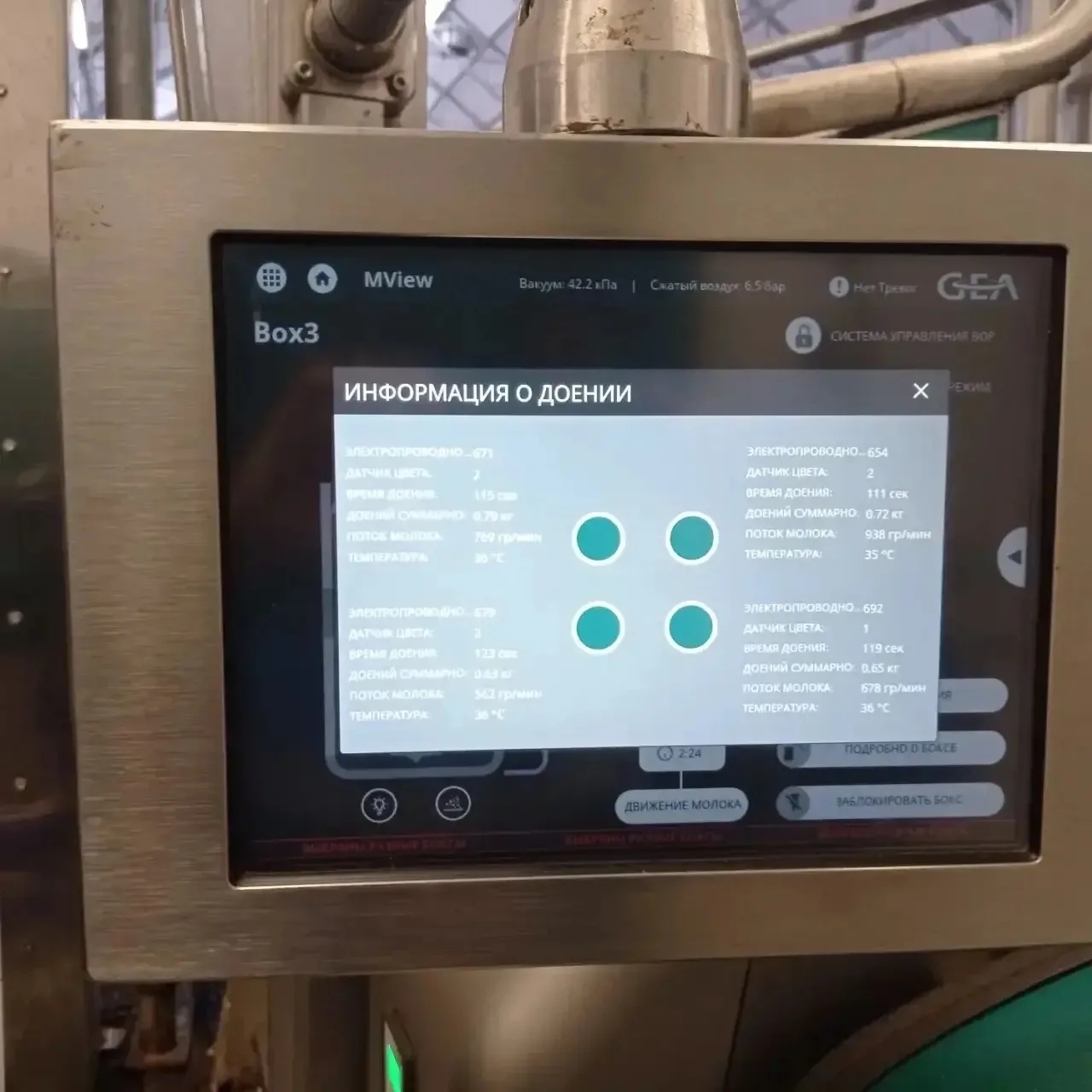 2030 йылға - ‎50 заманса һөт фермаһы