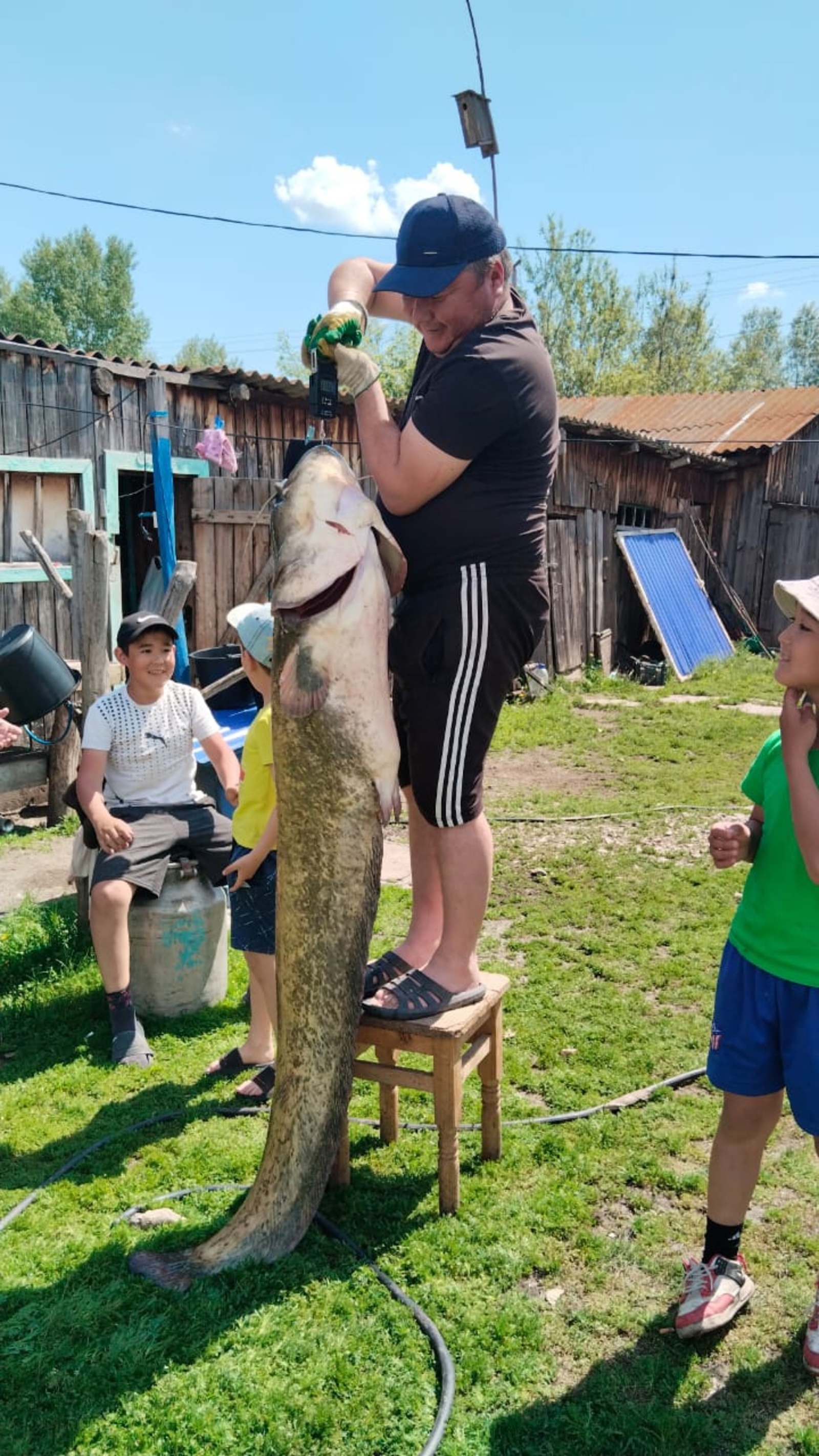 Теге йәйен... йәнә тотолған