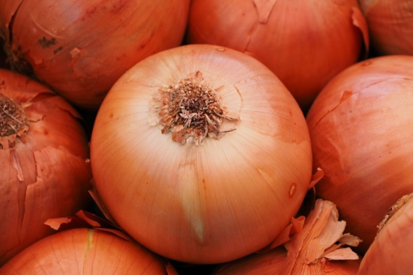 Саҡ көҙ уртаһы, ә һуған сереп бөтөп бара...