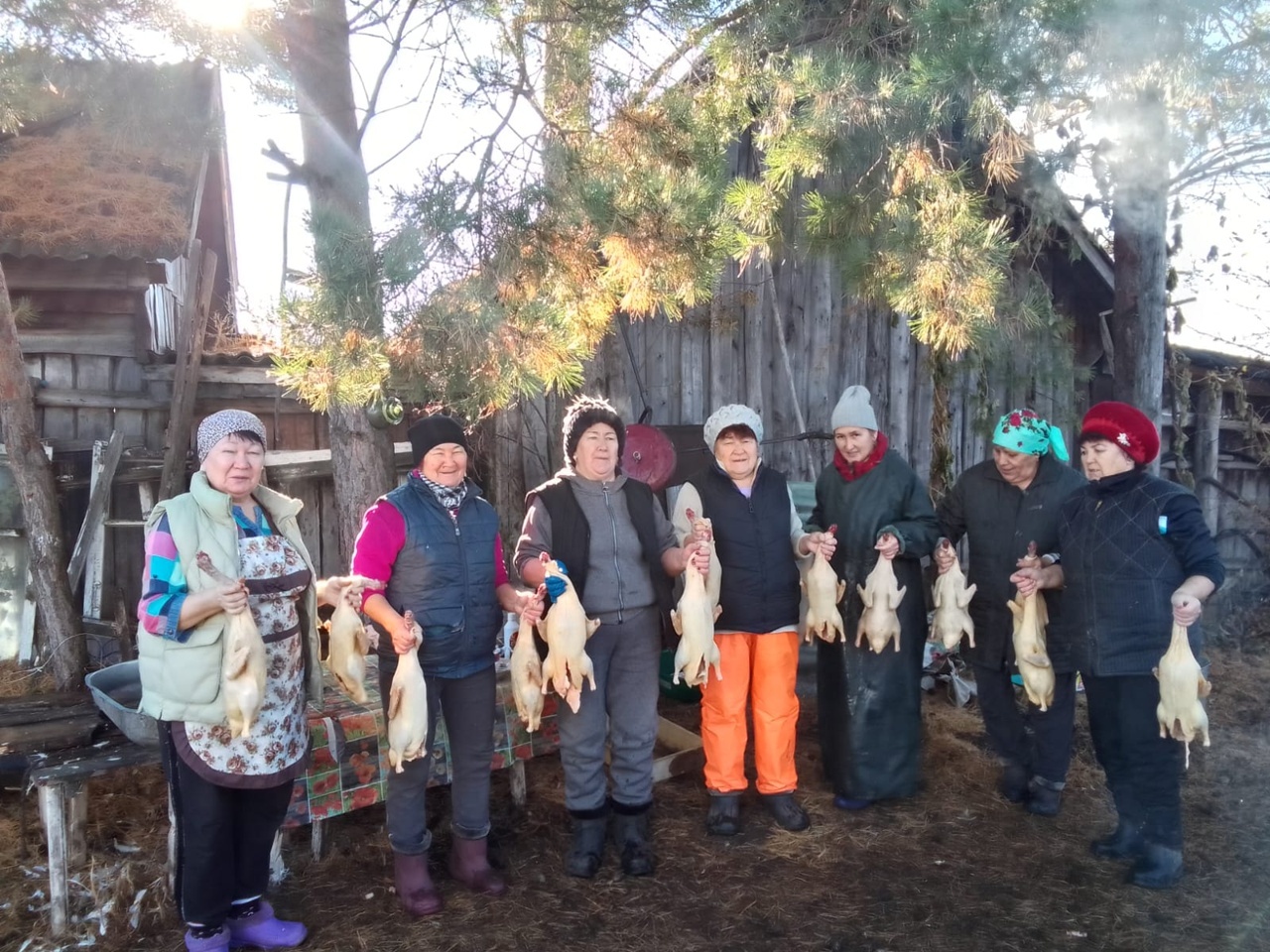 Өйрәк-ҡаҙҙы нисек еңел генә таҙартырға?