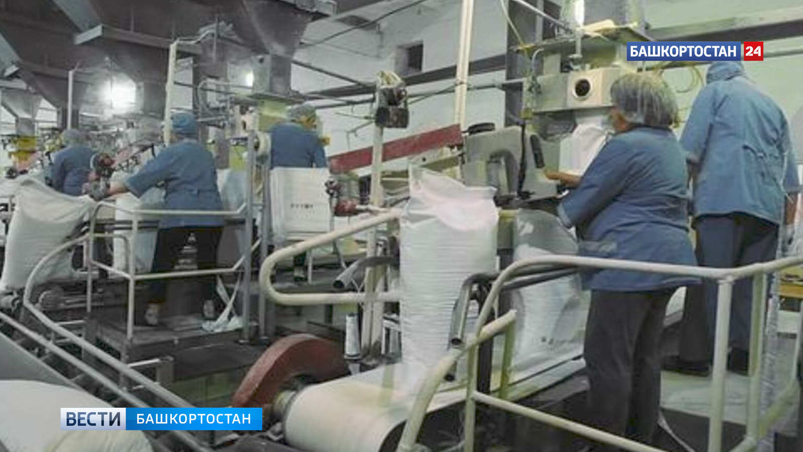 109,4 мең тонна шәкәр сөгөлдөрө экспортҡа сығарылған