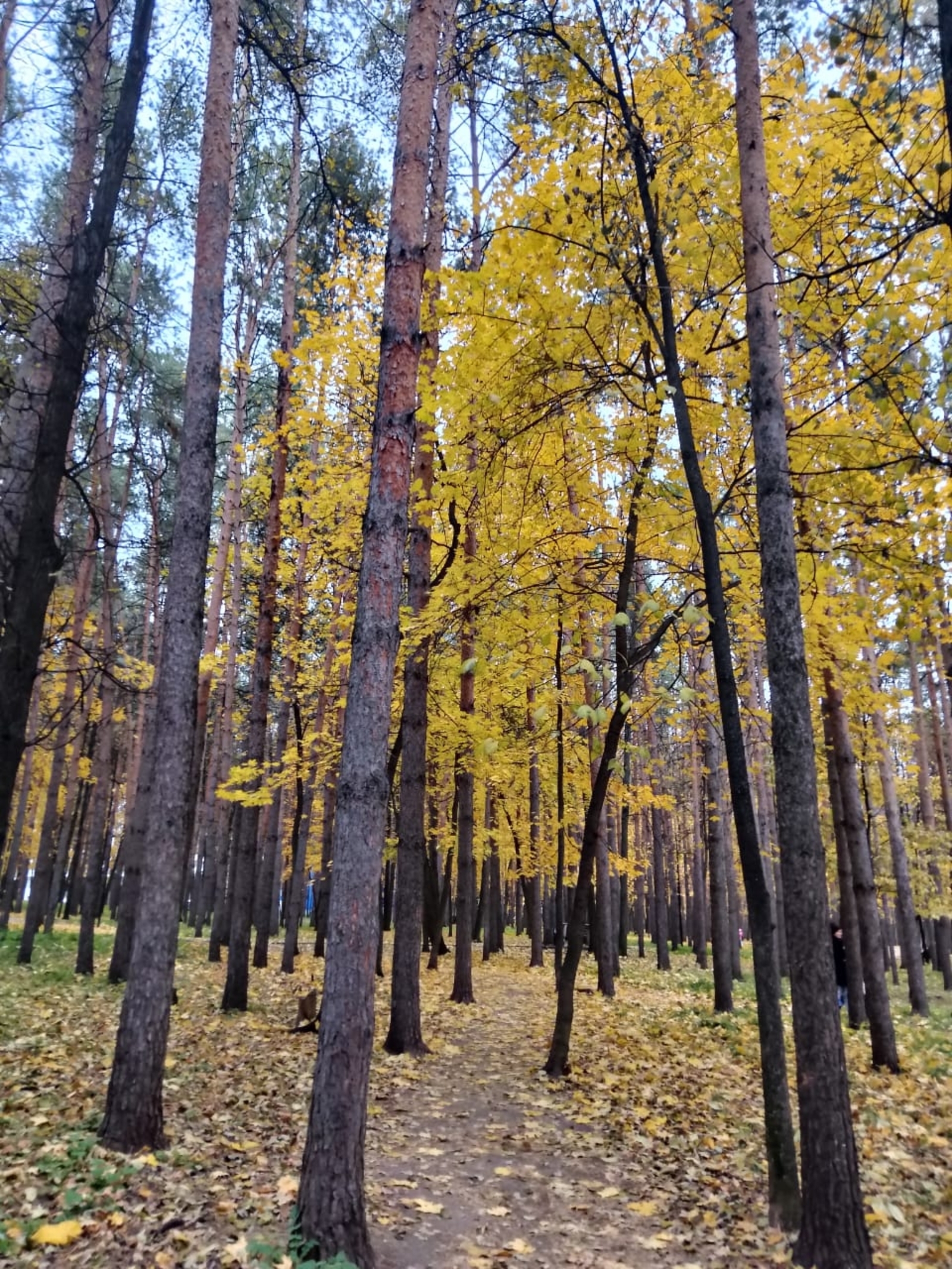 Ҡар яуасаҡ: "Беҙҙә ҡар. Ә беҙҙә бөгөн ҡар!"