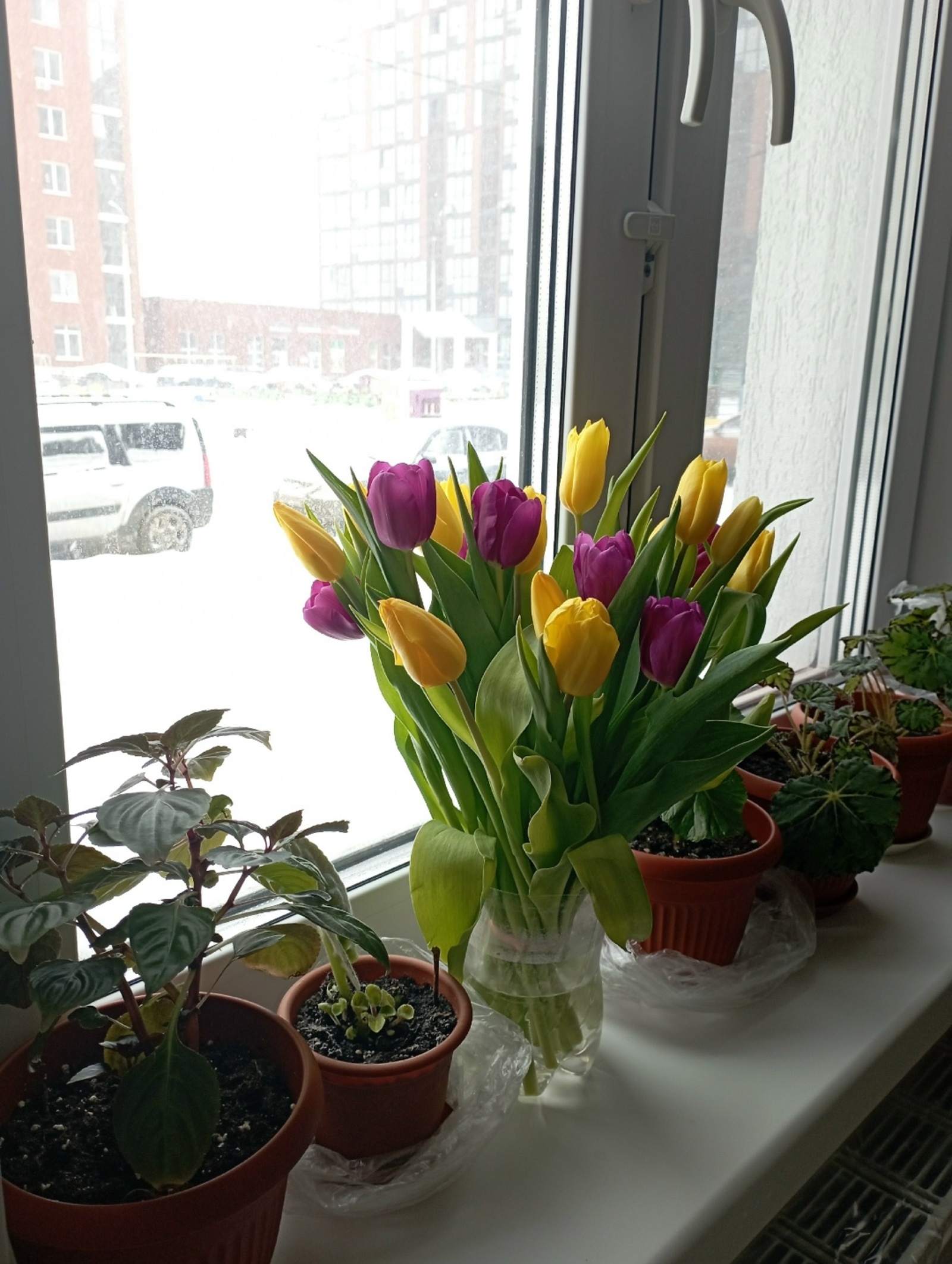 "8 Март байрамын онотам бынан һуң!"