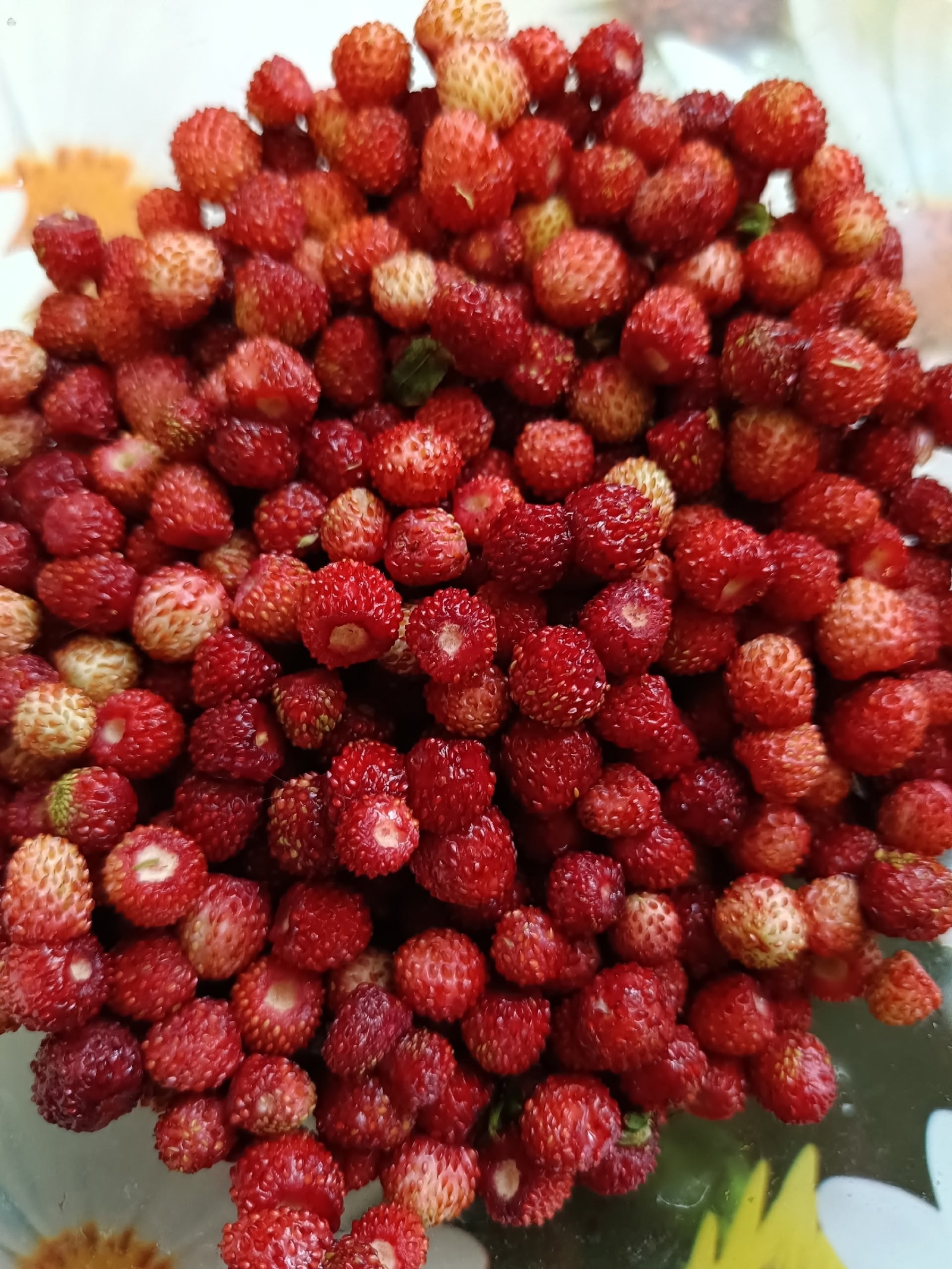 Турғай еләге бешкән