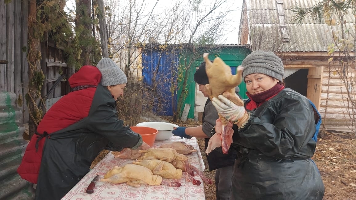 Өйрәк-ҡаҙҙы нисек еңел генә таҙартырға?