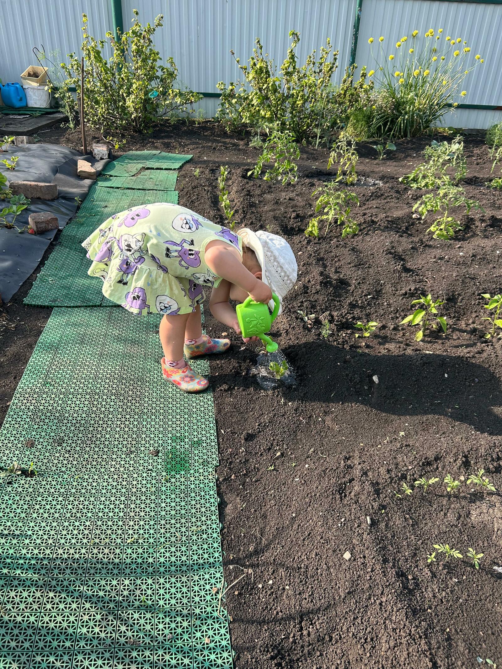 Һуған менән һарымһаҡты йыйып алғас урынына нимә ултыртырға?