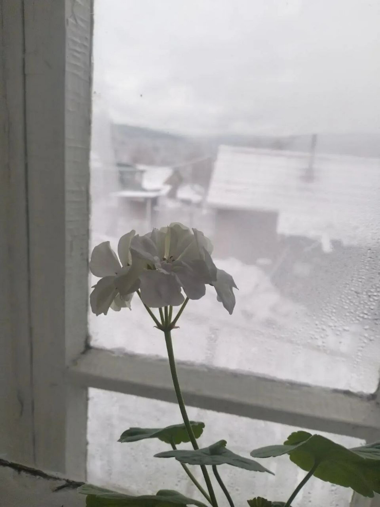 Урыны ишек төбөндә ине...