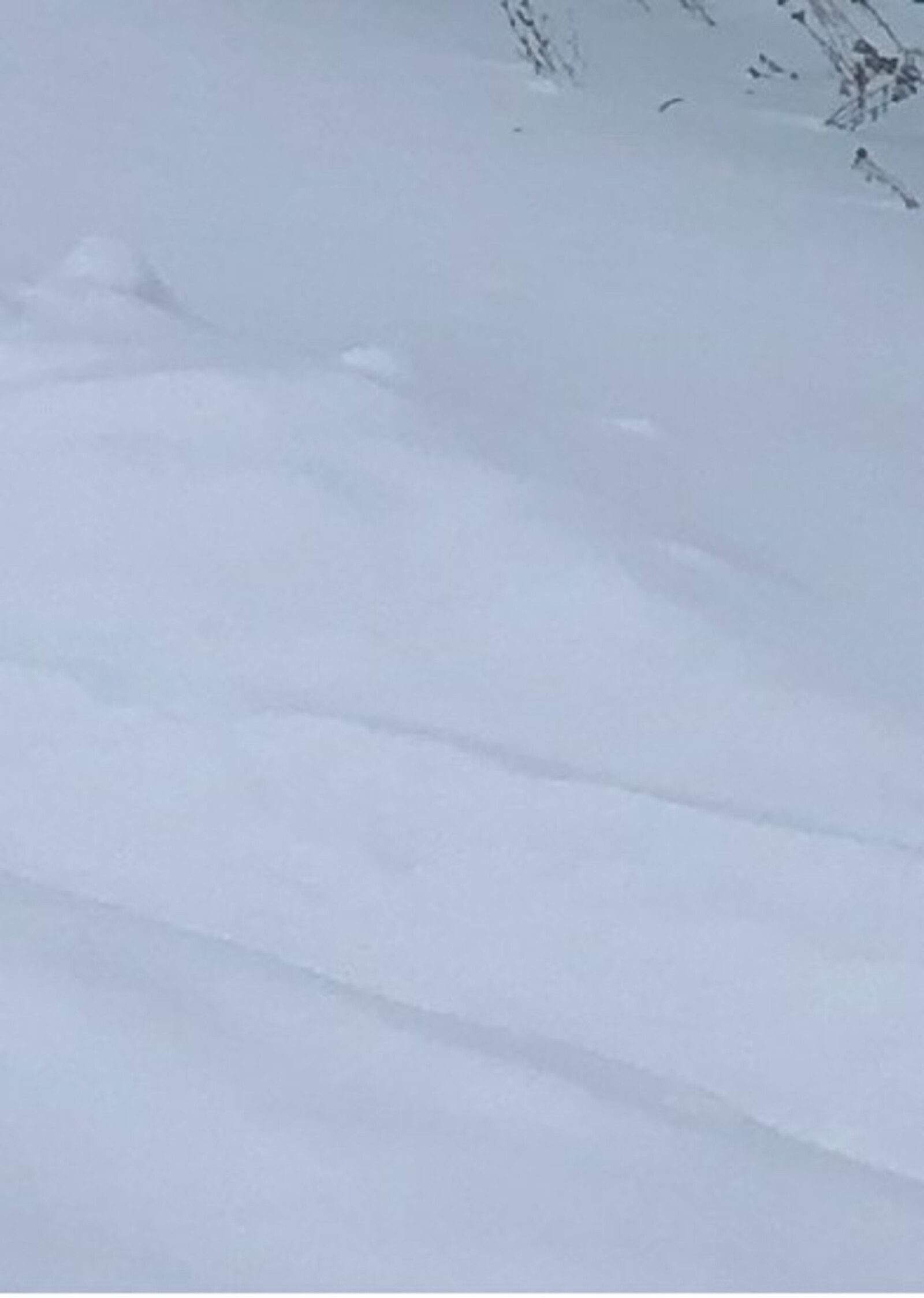 Ҡар һыуы үҫентеләргә шифалы