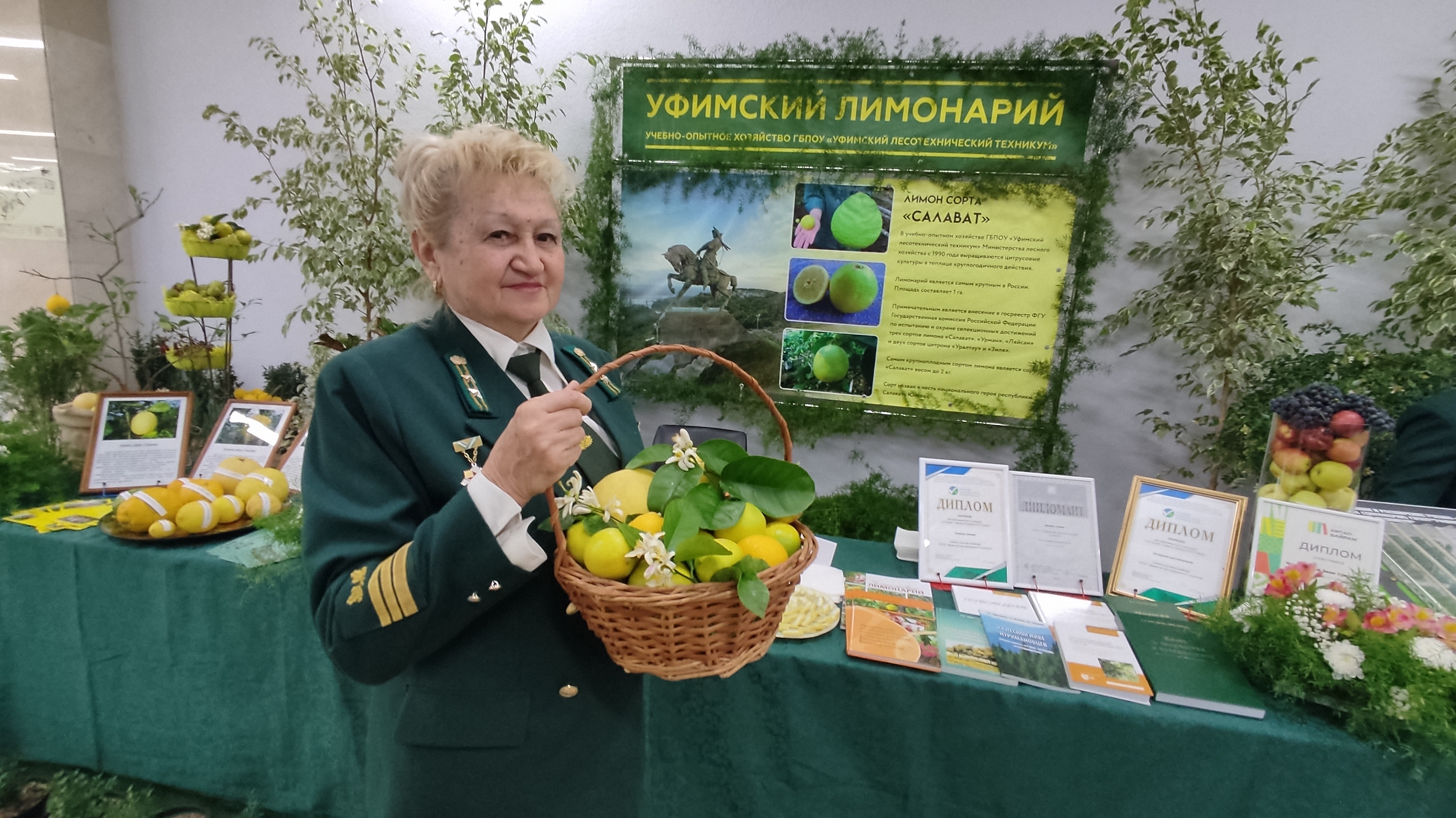 Улар урман шаулап үҫһен өсөн тырыша