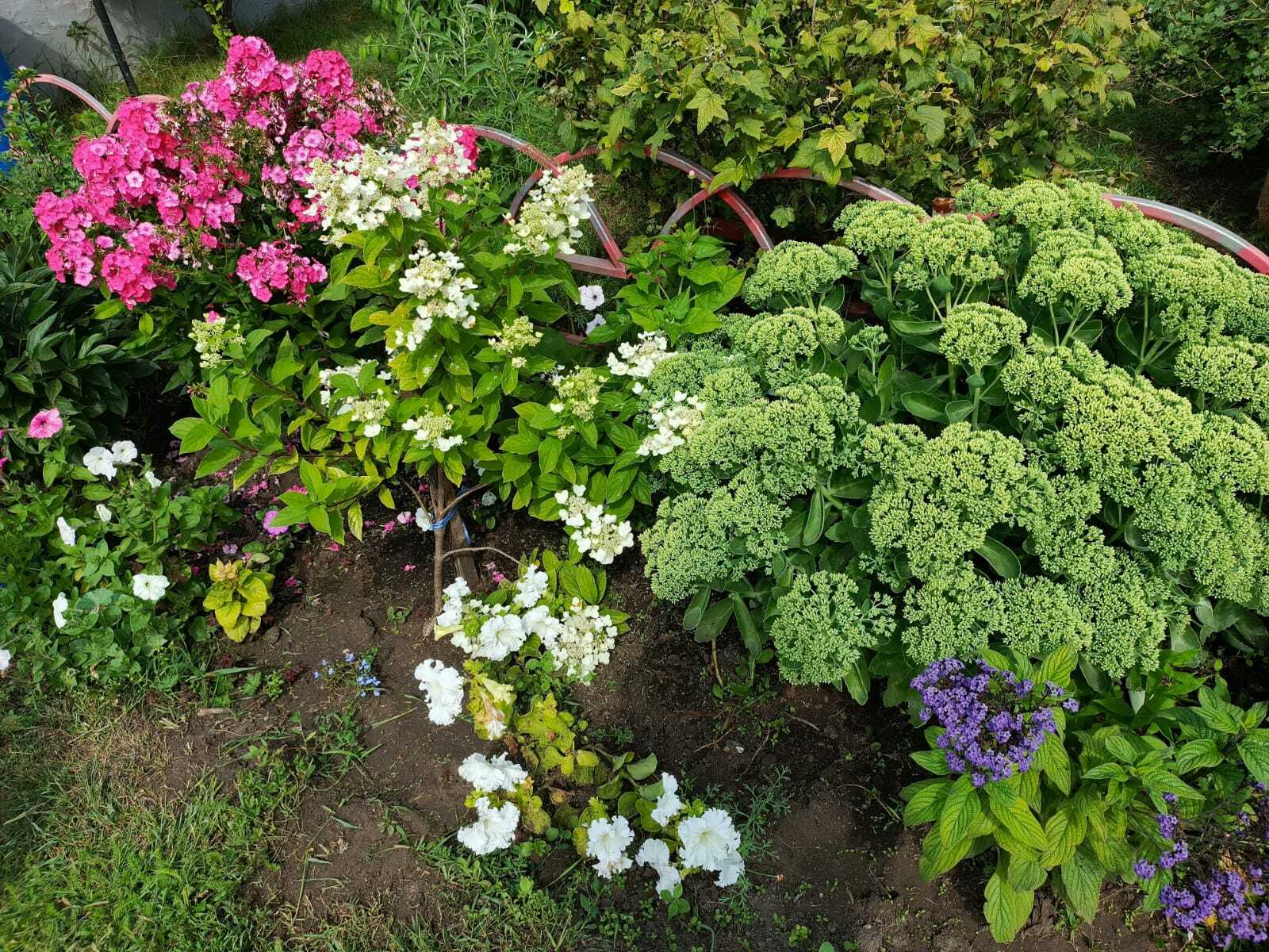 “Ауылға ҡайтыуыбыҙға һөйөнөп бөтә алмайбыҙ”