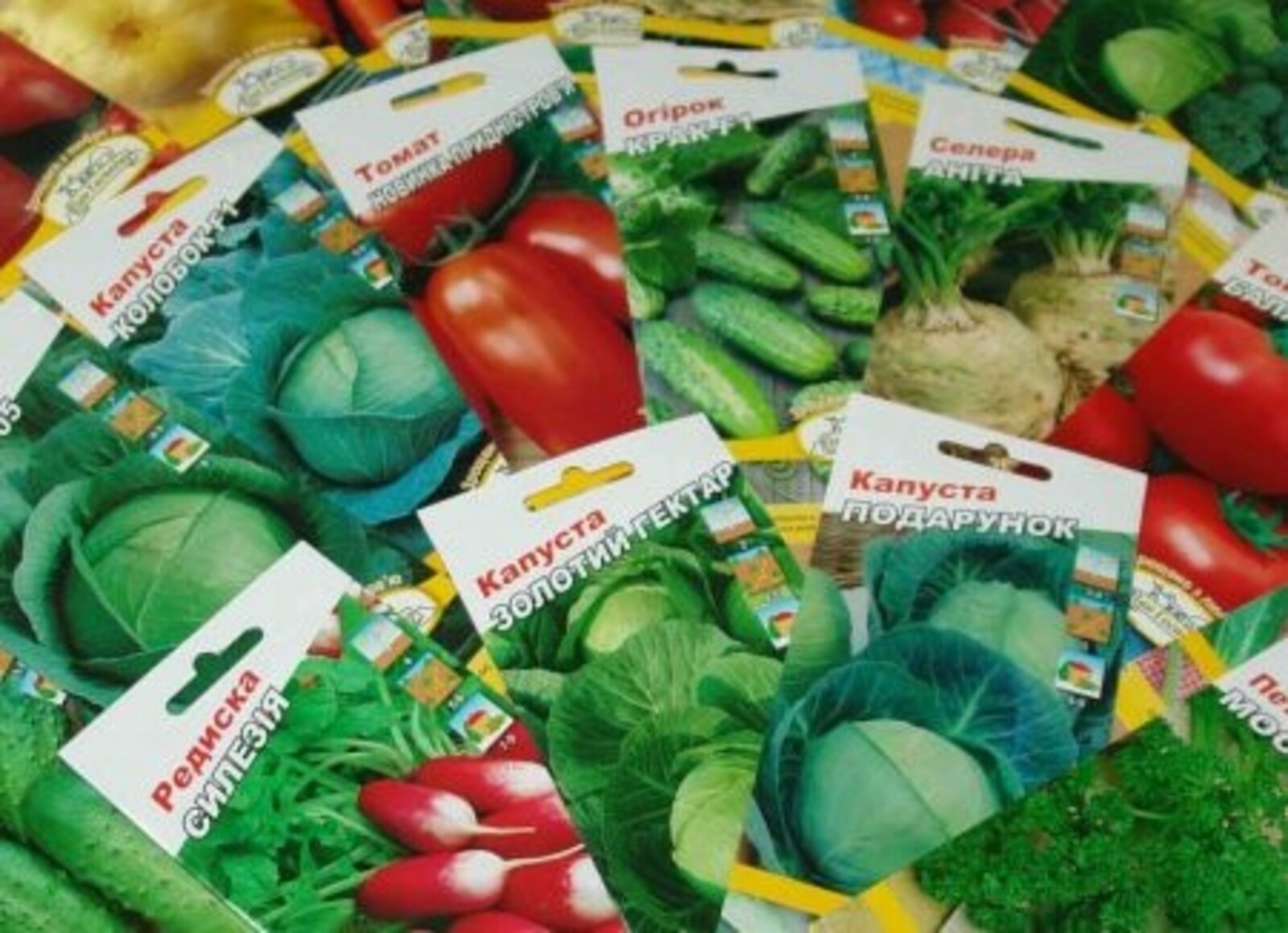 Орлоҡ һайлау серҙәре