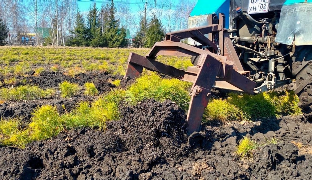 Байрам менән, урман хужалығы эшсәндәре!