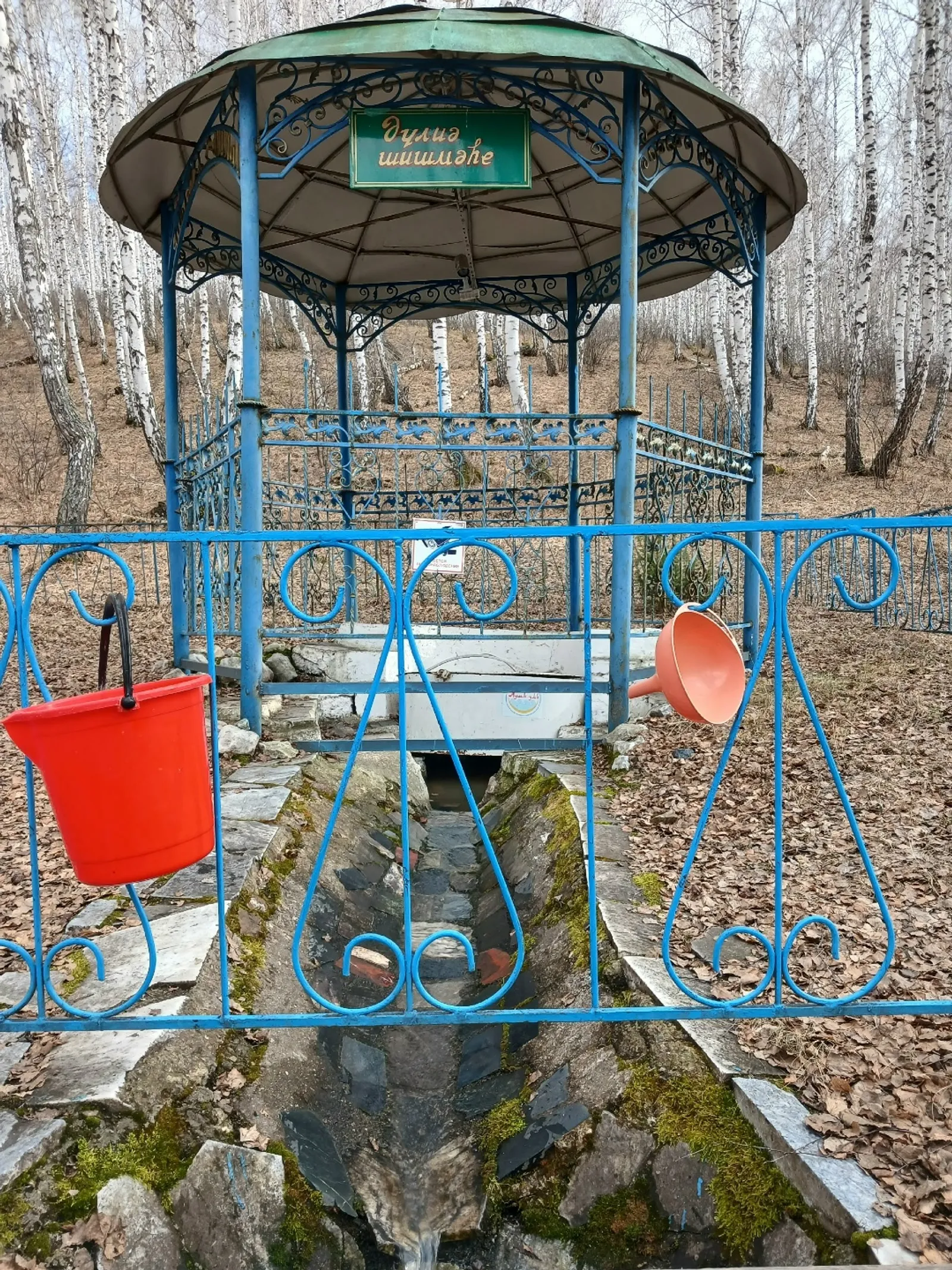 Һөйөнсө, "Әүлиә" уянған!