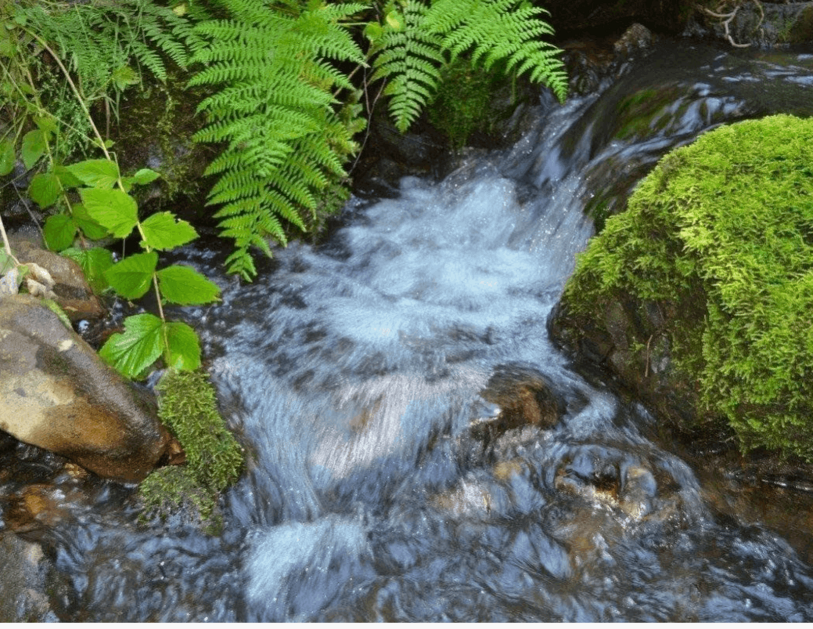 Ҡороған шишмәне терелтер көскә эйә доға