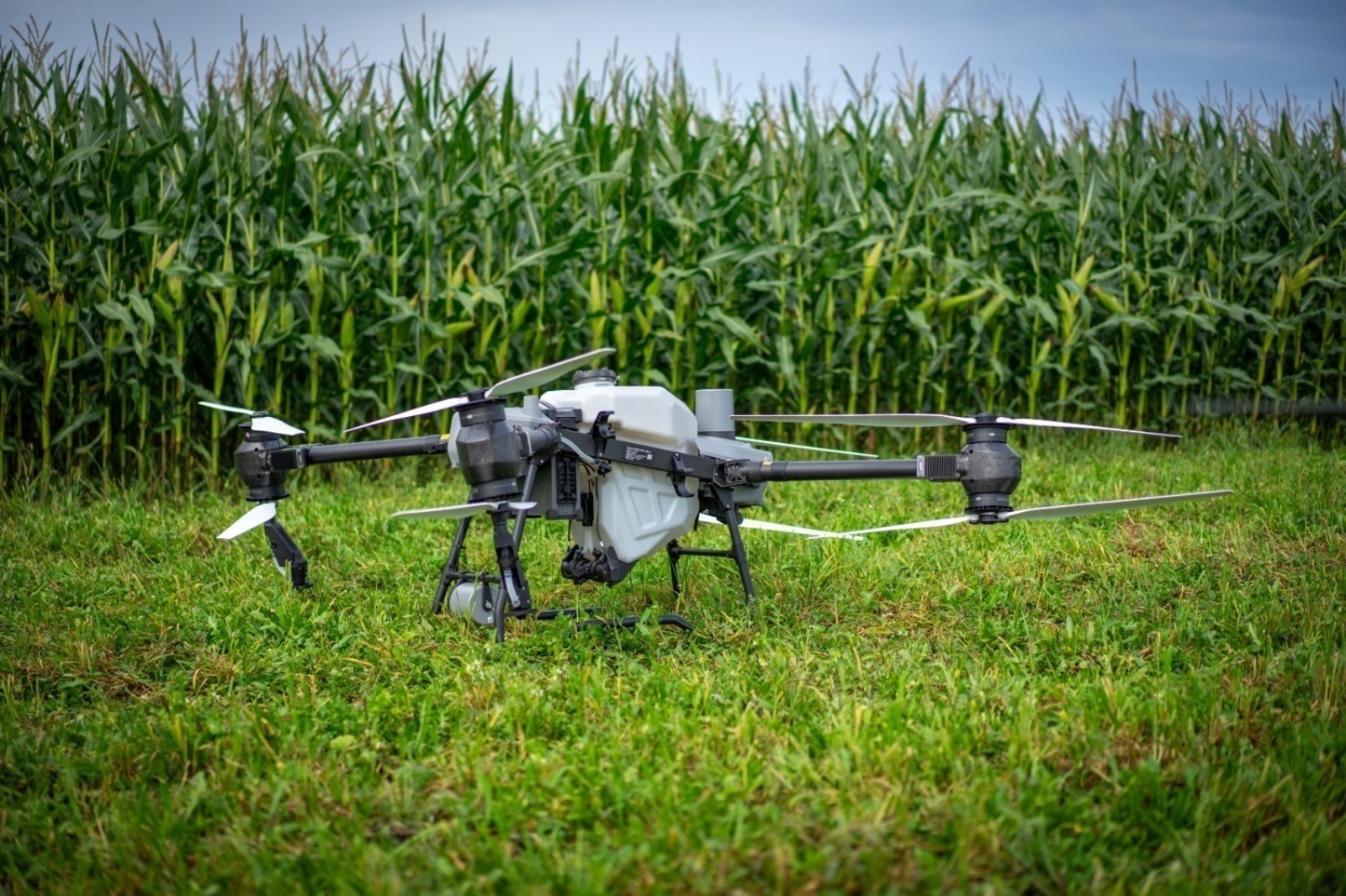 Яңы технологияларҙы баҫыуҙа ла ҡулланалар