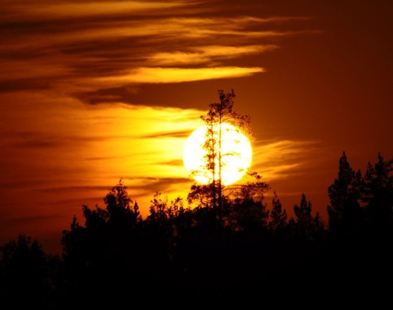 Сәфәр айы килде. Нимә эшләргә?