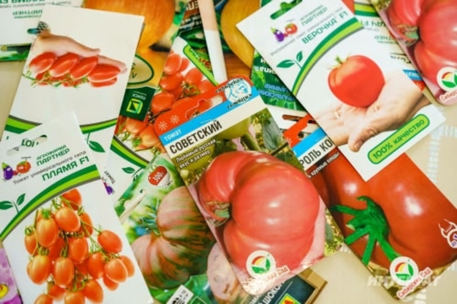 Ялған орлоҡтар алып ҡуймағыҙ!