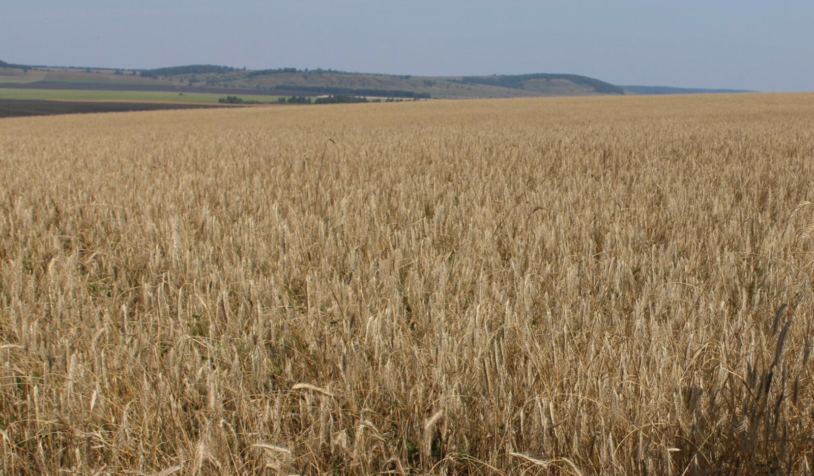 Компаниялар бизнес-миссияла ҡатнаша
