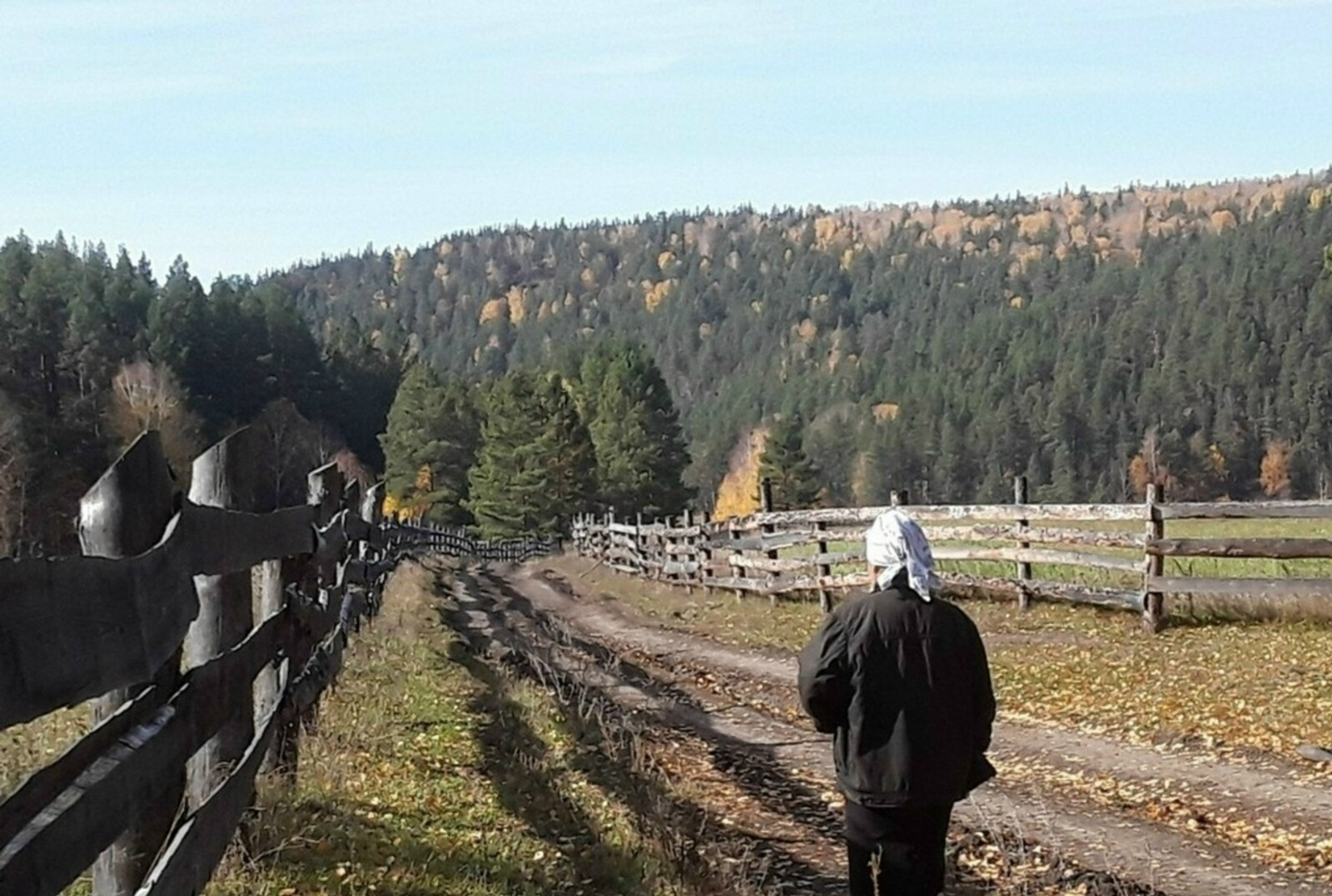 "Әйҙә беҙгә, ҡәйнәм!"