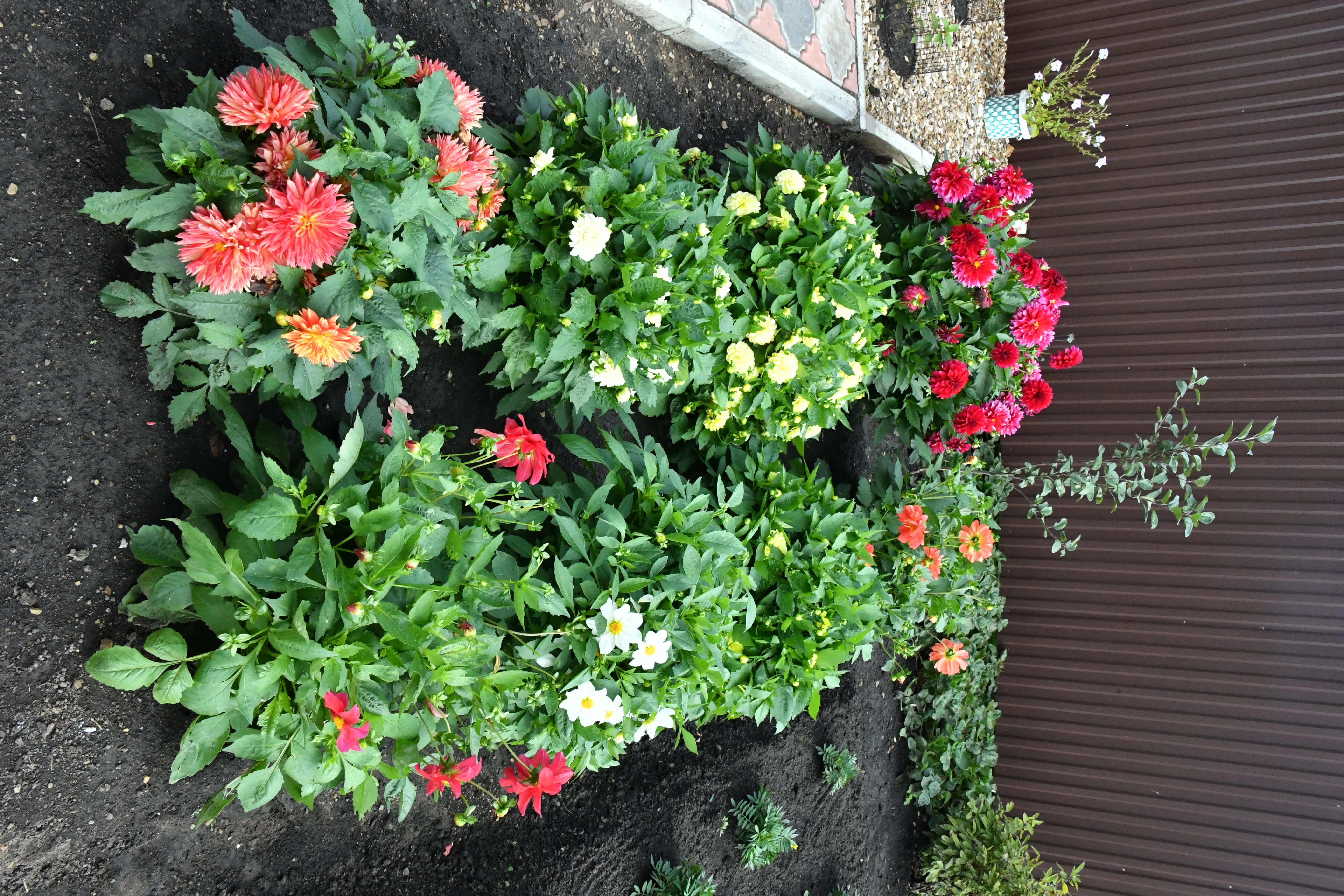 Ветерандар йәшәй ҙә, эшләй ҙә белә!