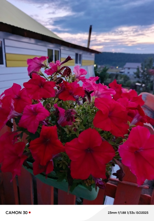 “Иремдең хөрмәтенә ултыртҡайным..."