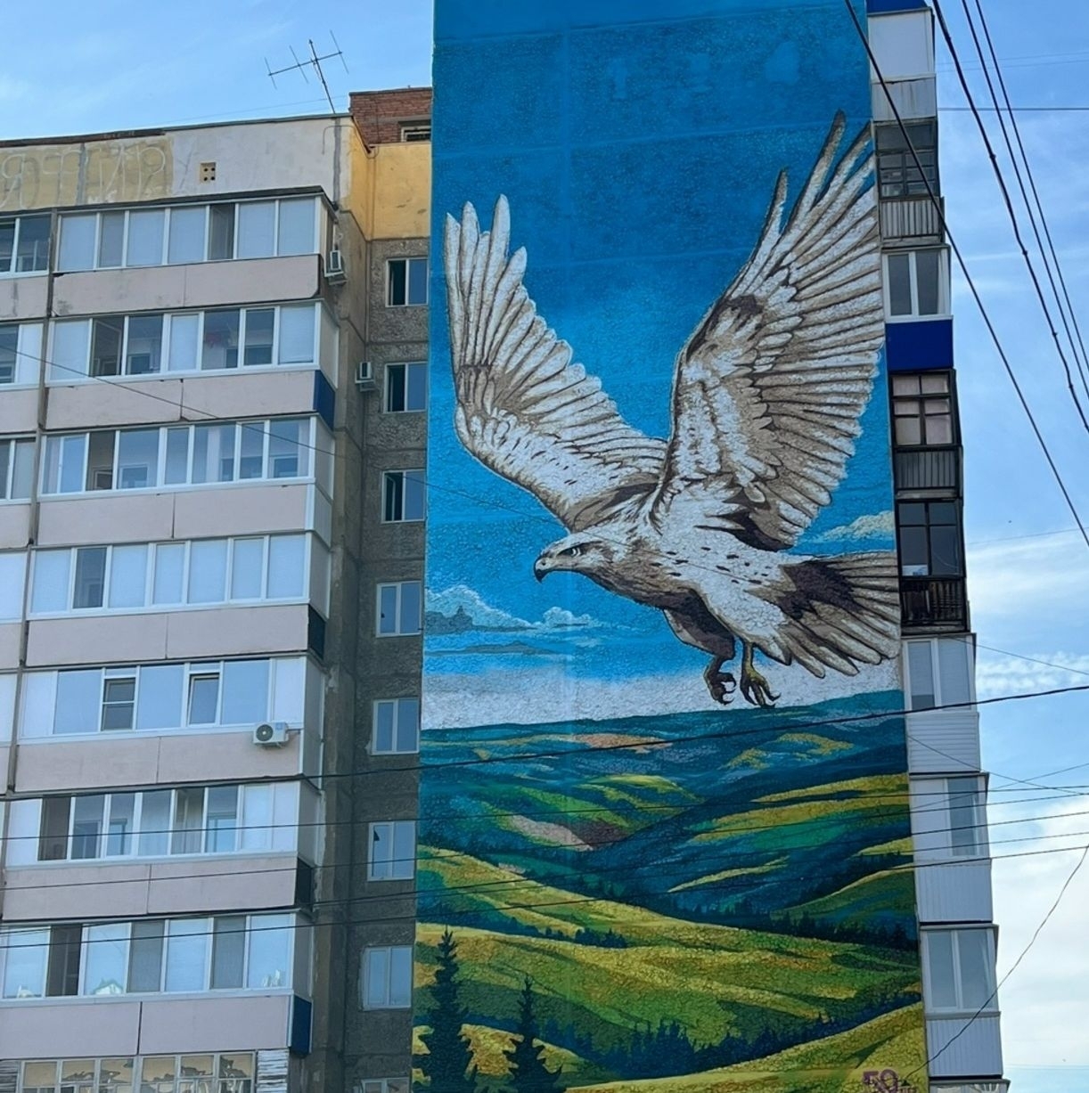 Был ҡыҙыҡ: бөркөт үҙенә тормош юлдашын нисек һайлай?