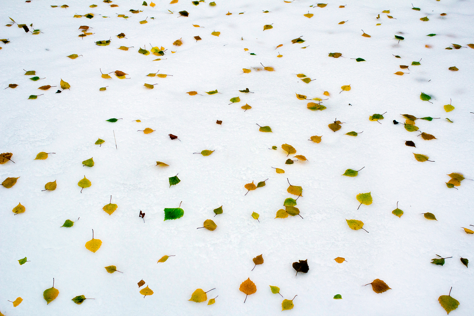 Бөгөн ҡар яуһа, өс аҙнанан ҡар ятыр, тигән боронғолар