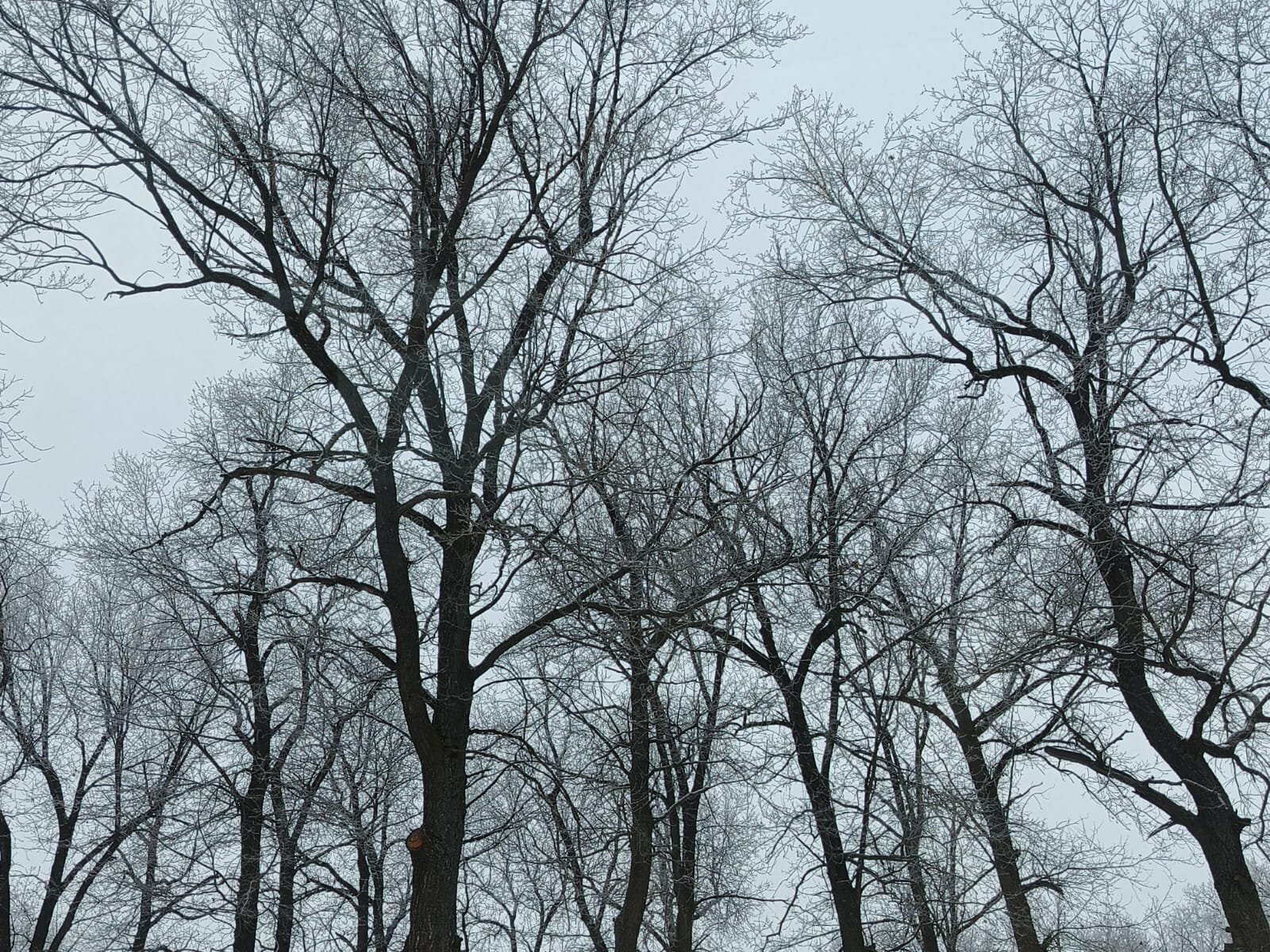 Аҙна башында “плюс” була