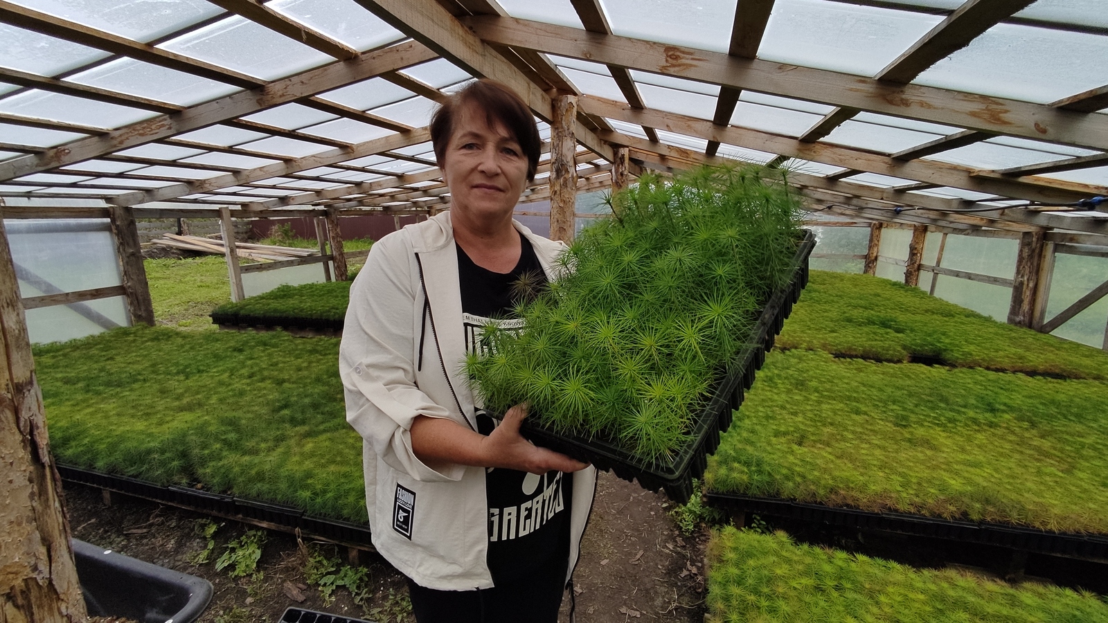 Был шөғөл үҙен аҡлай