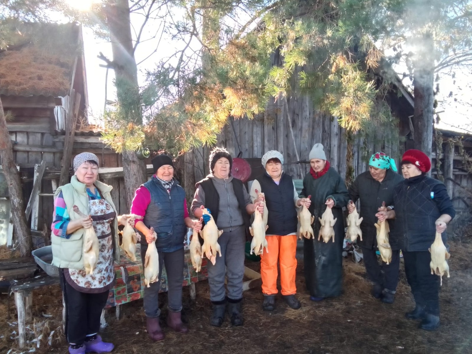 Өйрәк-ҡаҙҙы нисек еңел генә таҙартырға?