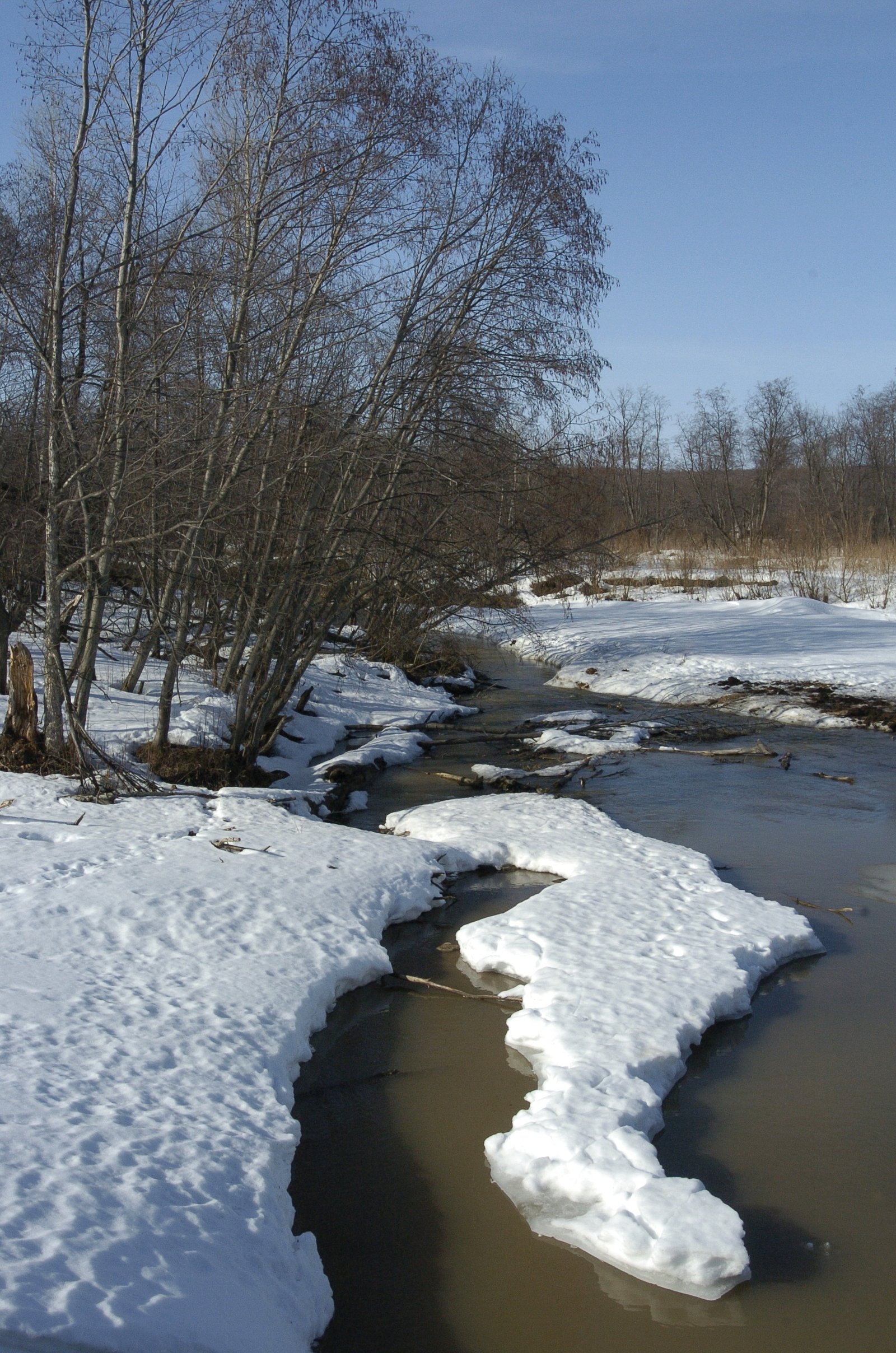 Декабрь нисек килер?