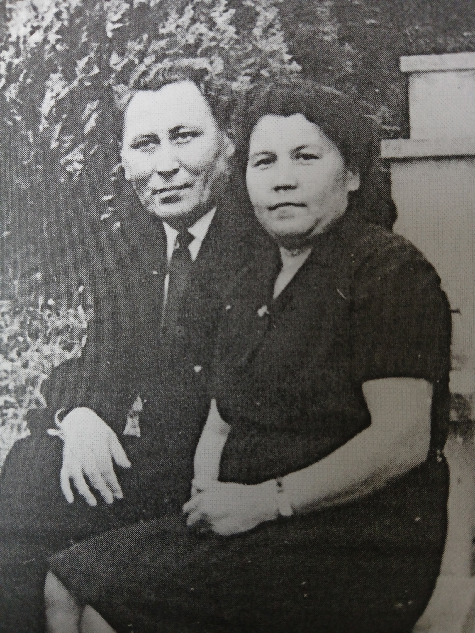 Һалдат хаттары - һөйөү хаттары