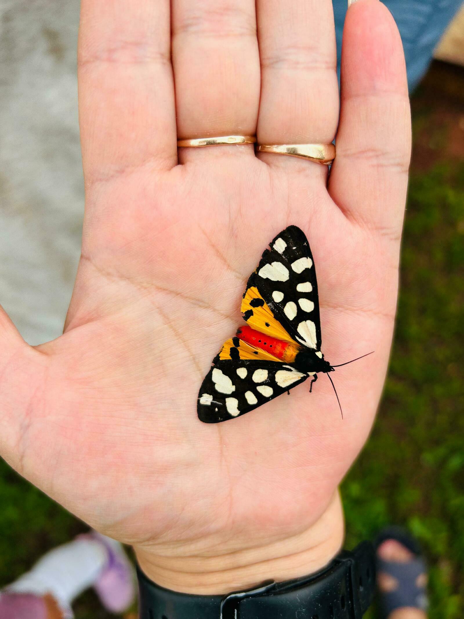 "Саҡ ҡына көт, матурым..."