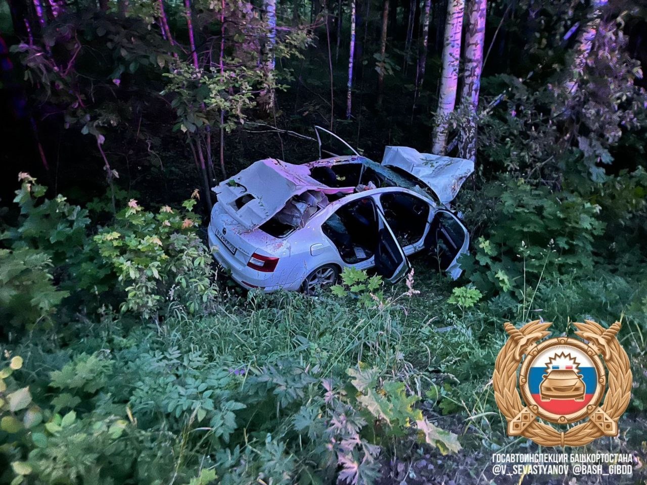 Ҡыр хайуаны баланы харап иткән...