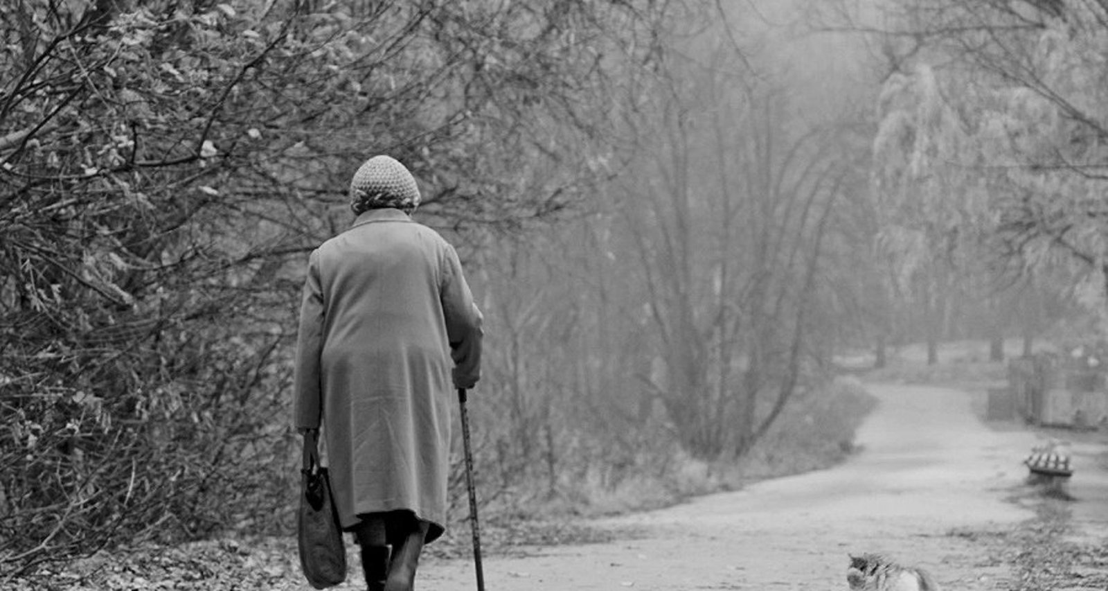 Барыһына киленем ғәйепле