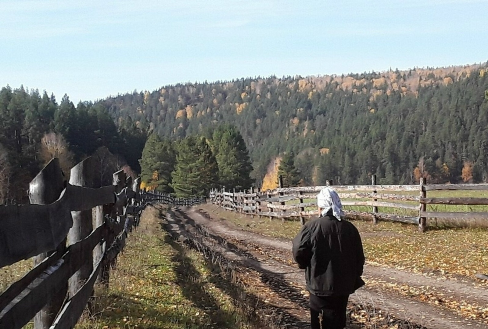 "Ҡарттар йортона кит, әсәй! Әхирәтең дә шунда бит..."