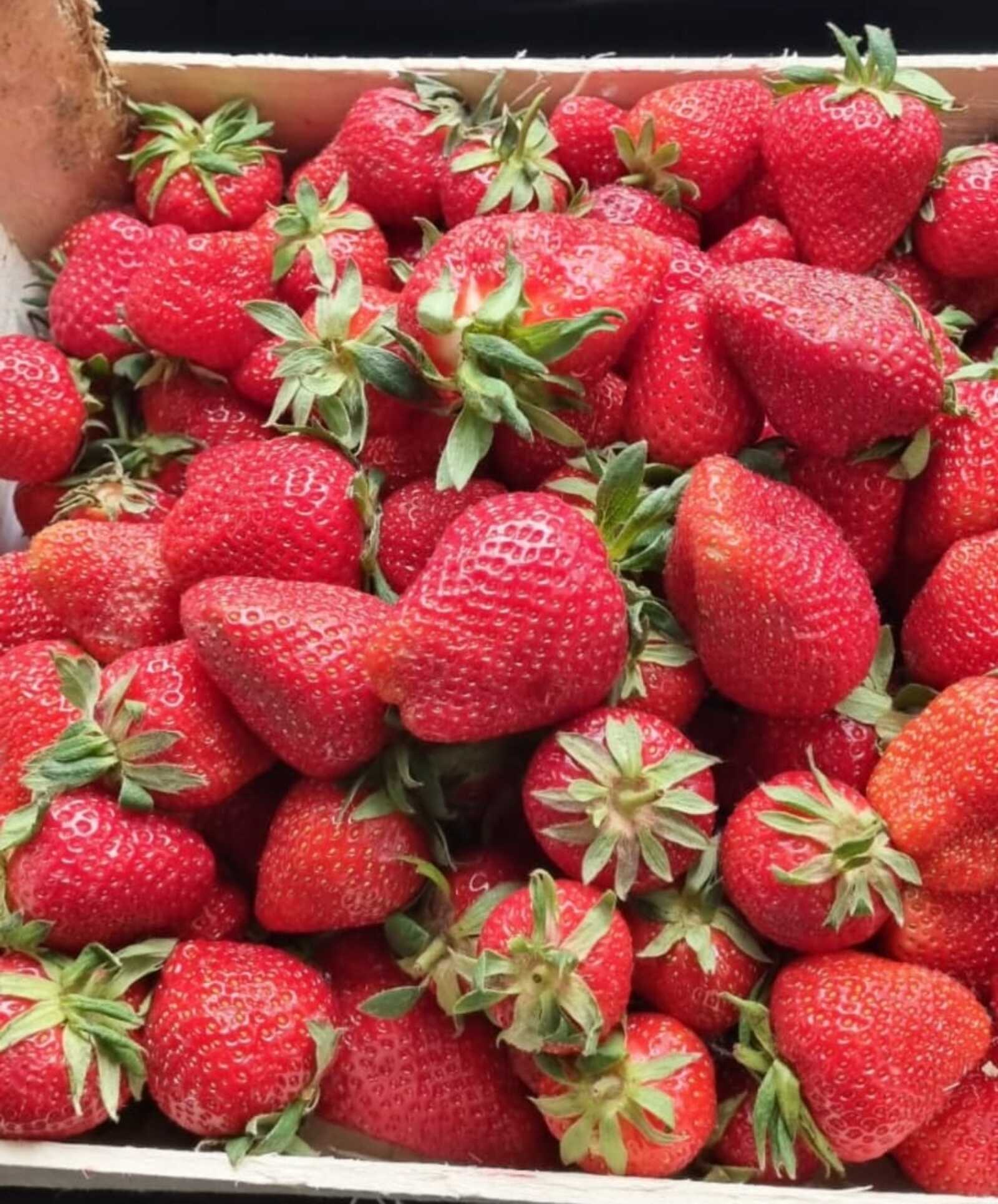 Шәкәрһеҙ баҡса еләге ҡайнатмаһы