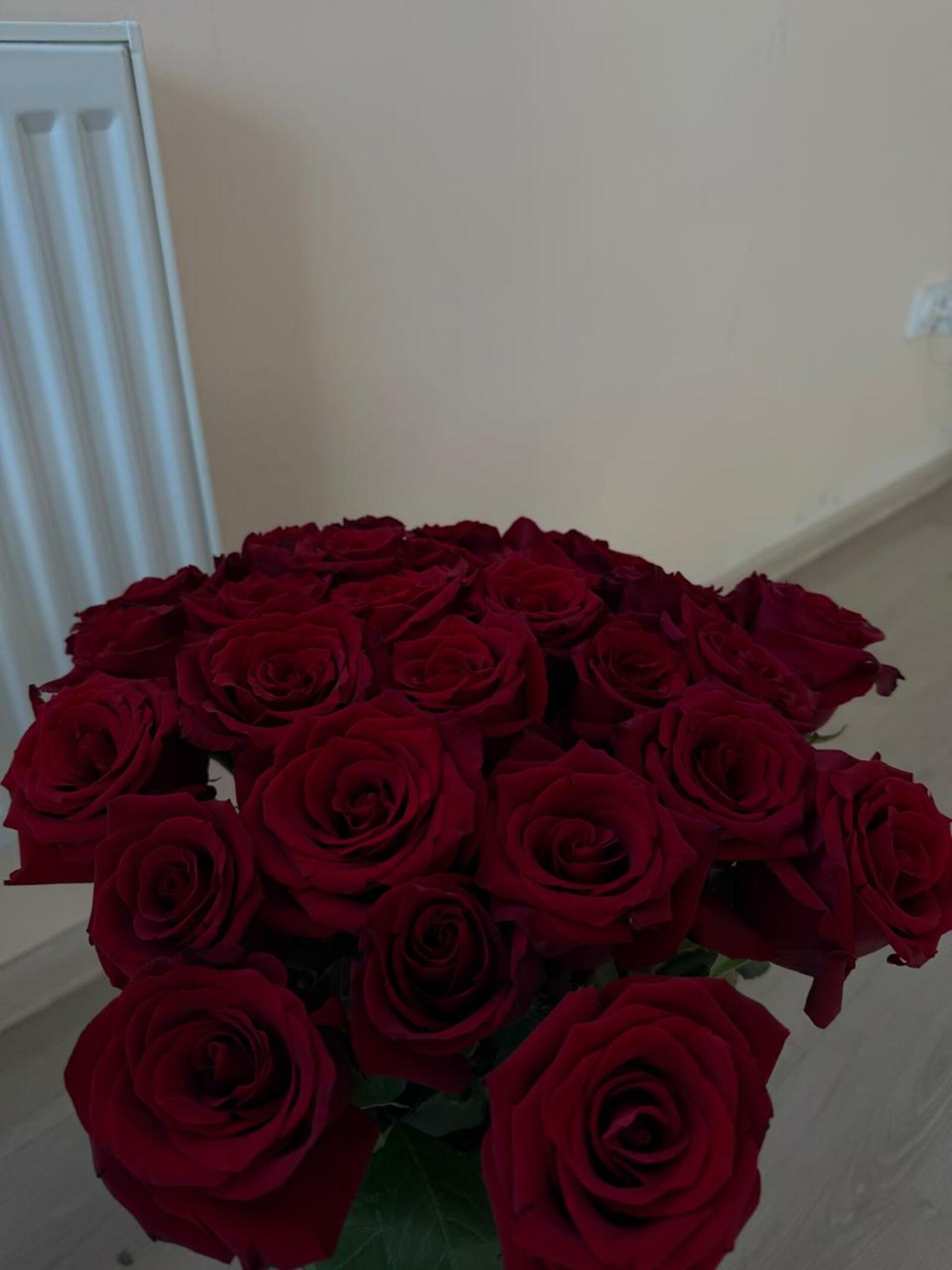 Бүләк ителгән раузаларҙы тамырландырам тиһәң...