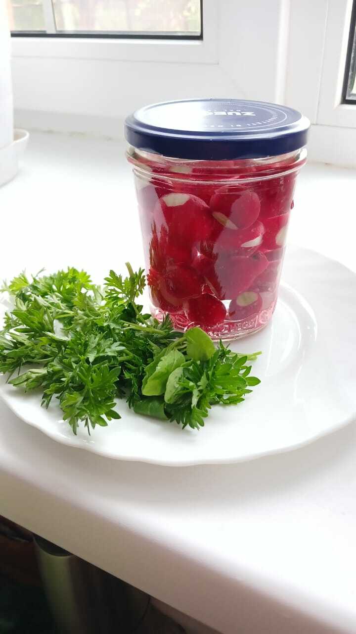 Редисты маринадлап һаҡларға була