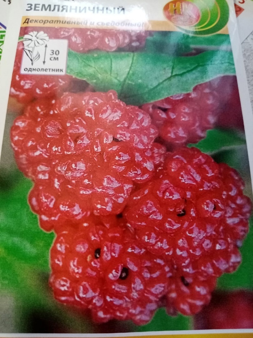 Әҫпе еләген белеүселәр бармы?