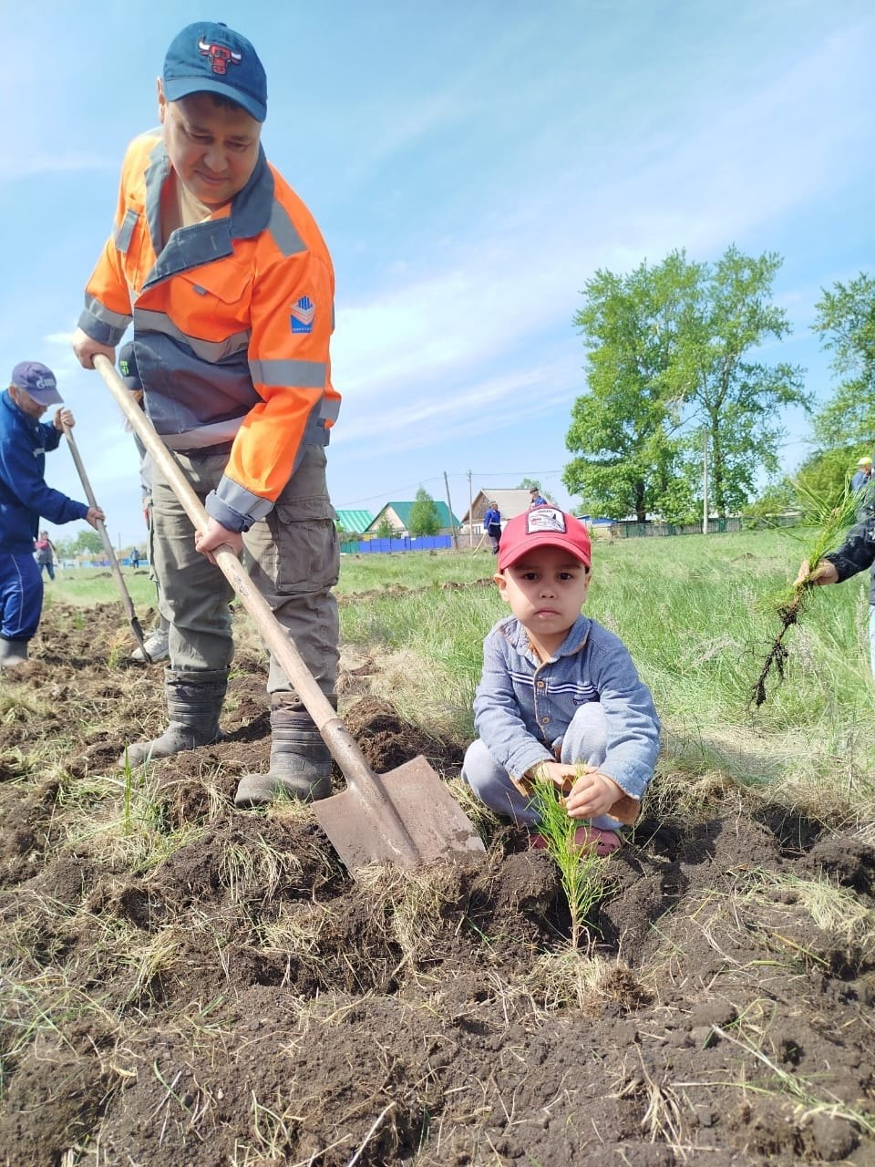 Ике мең өс йөҙ ҡарағай шаулап үҫәсәк