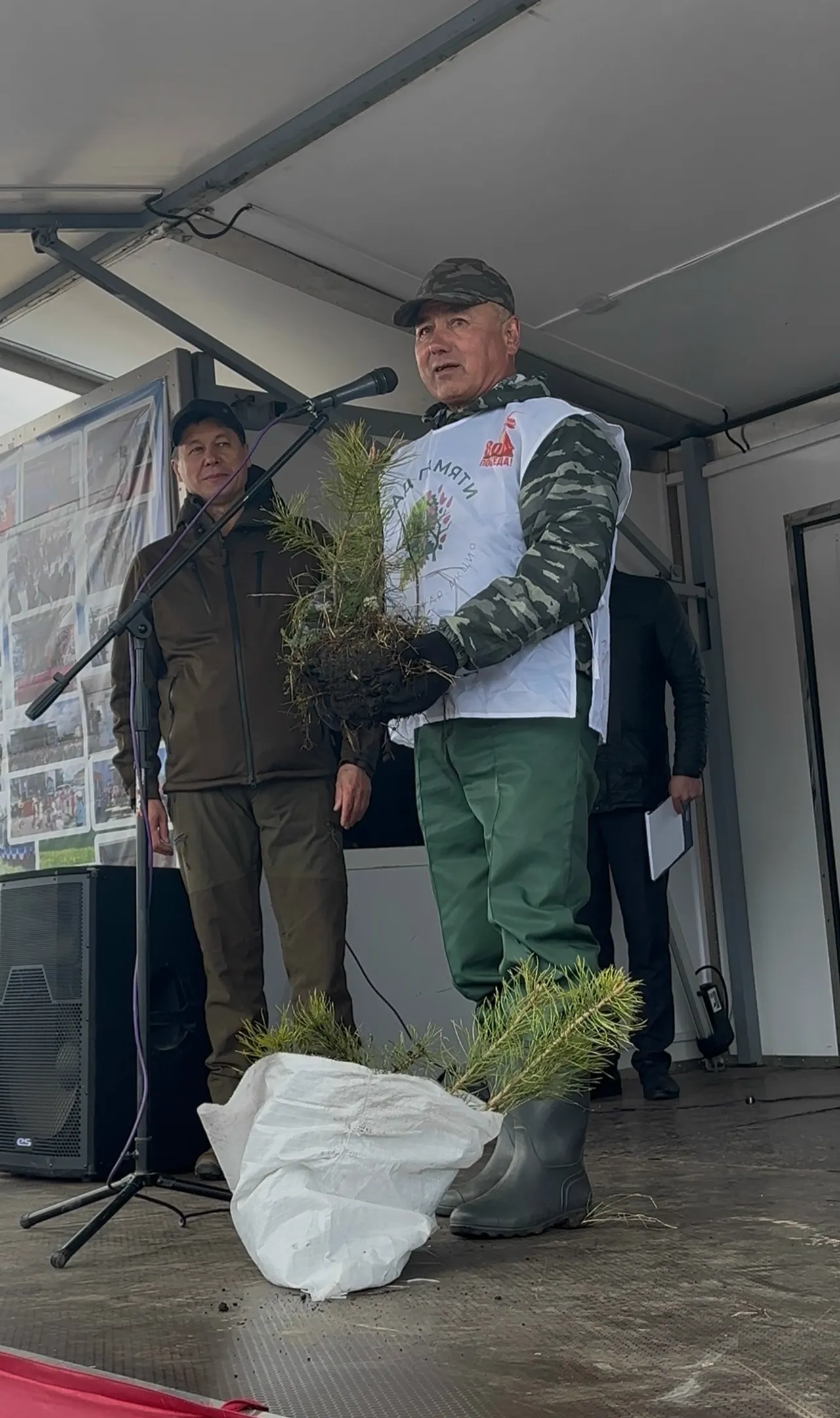 Баймаҡ районында ике мең ҡарағай ултыртылды